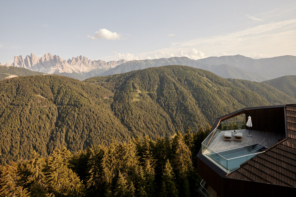 forestis view