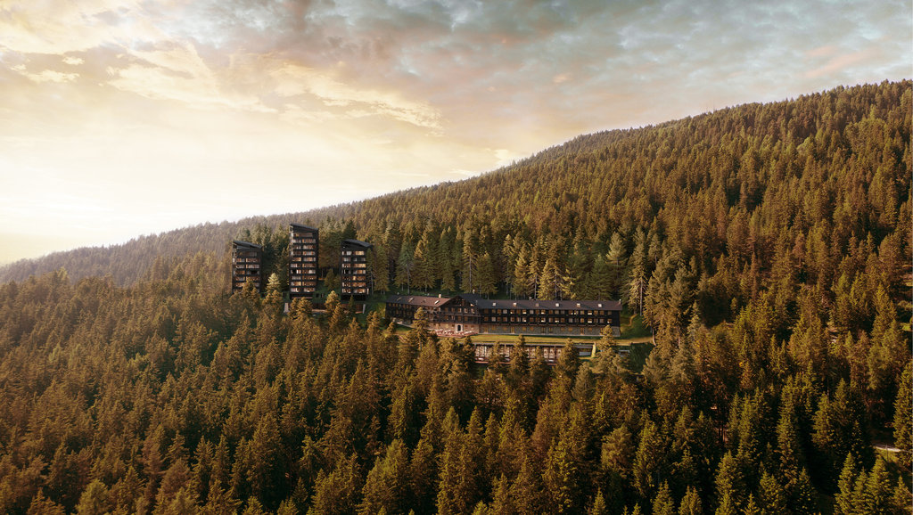 forestis frontview