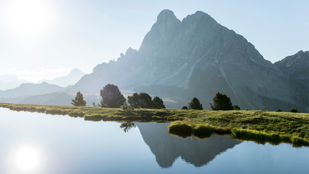 mountain view