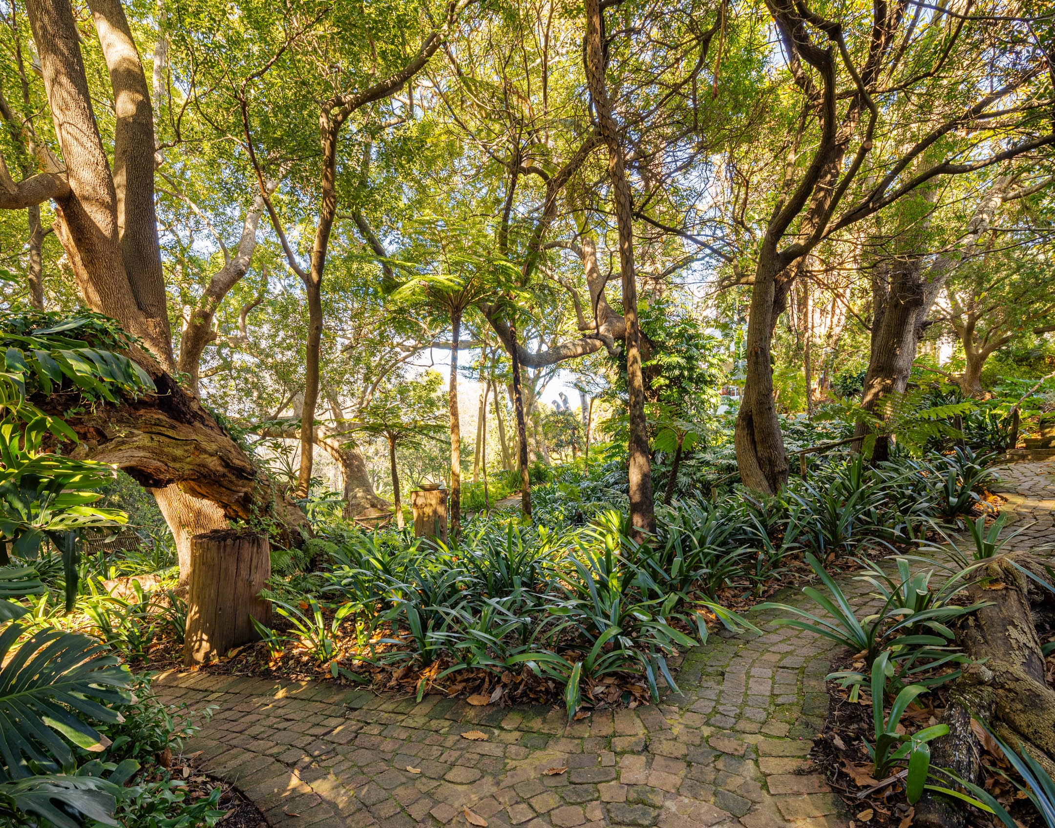 tch gardens