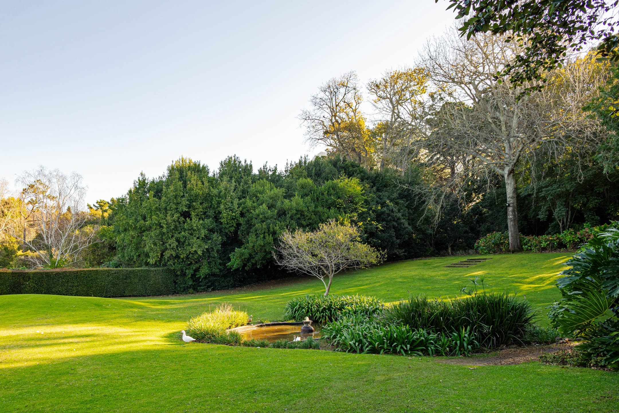 tch gardens