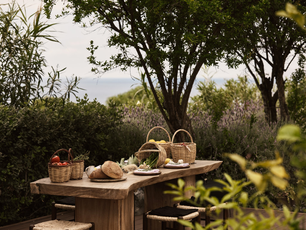 the garden