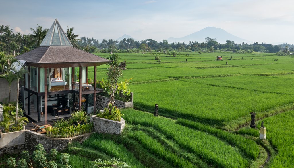 1 rice paddy view