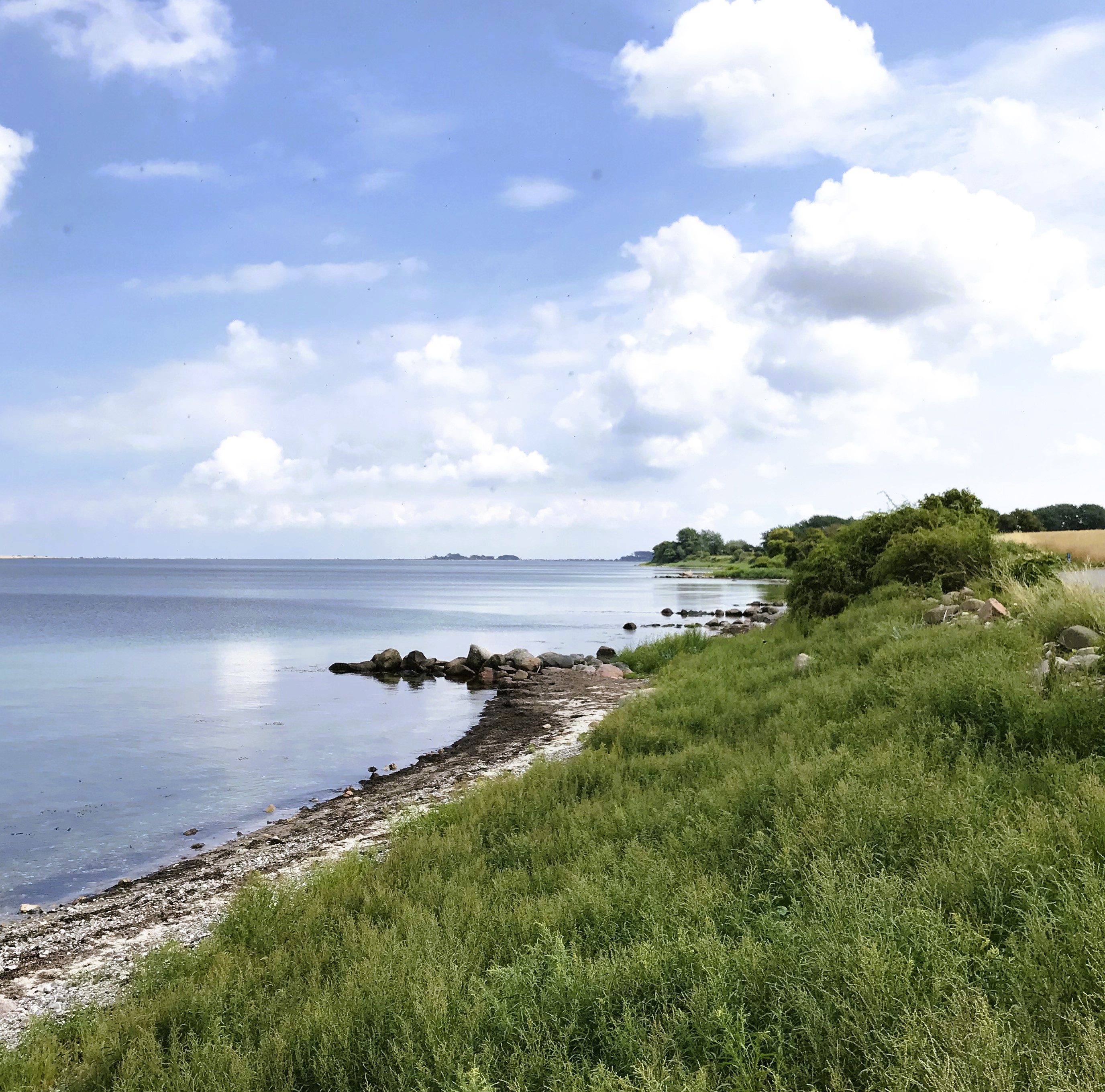 ærø borgnæs møllevej øbo tours