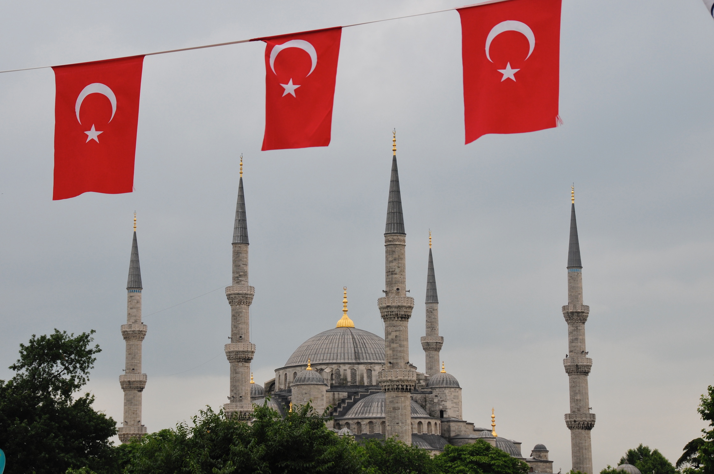 istanbul blue mosque w turkish flags