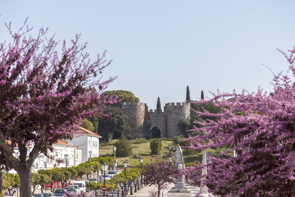 local castello
