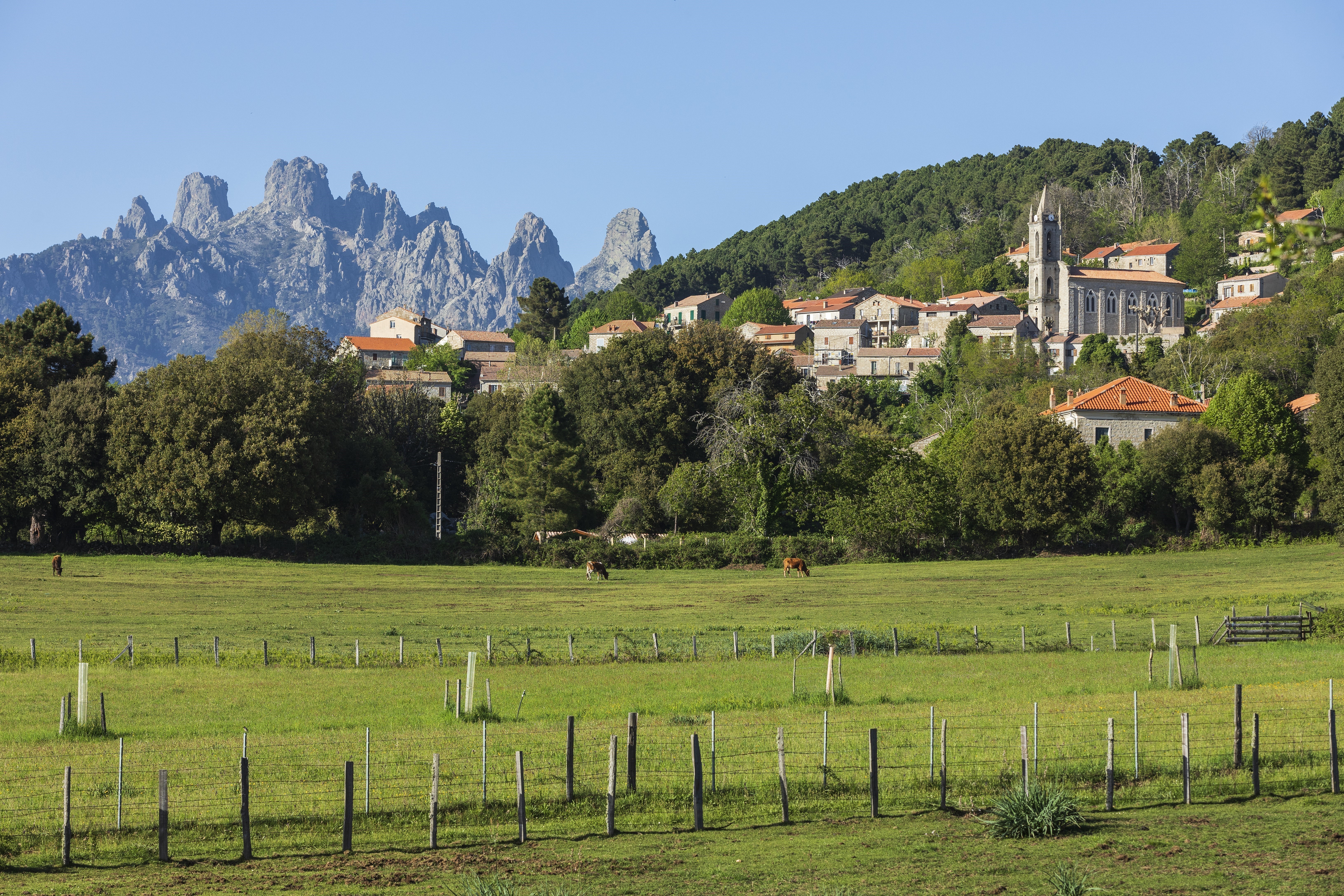 cmoirenc 200265