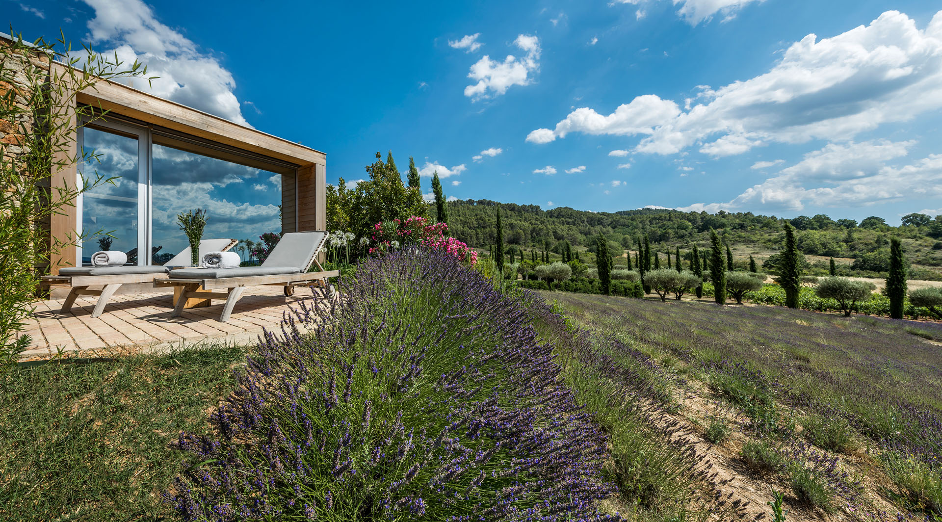 suite nature lavande 1 andeols 2