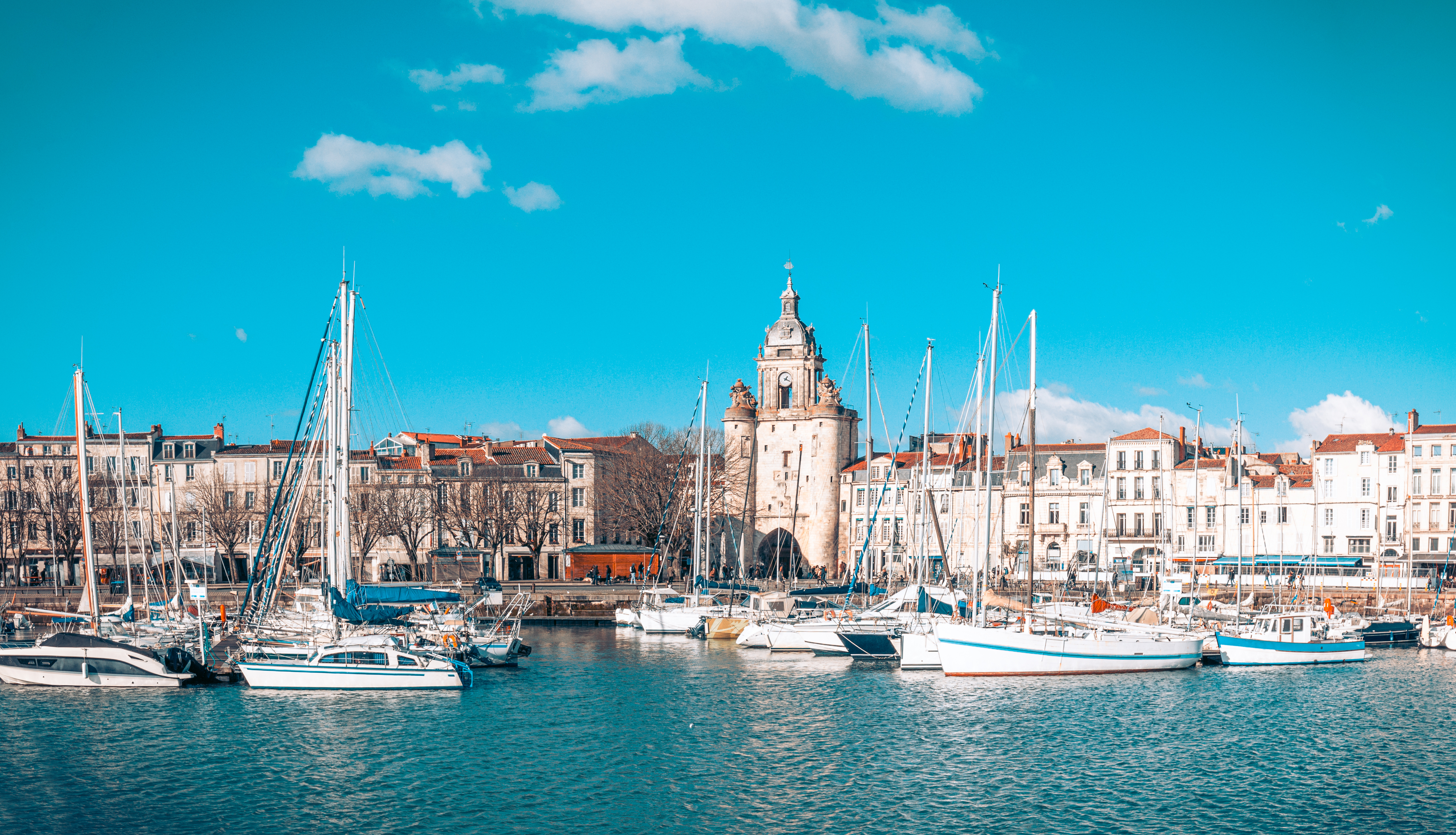 shutterstock 1626399979