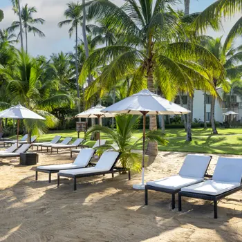 Sublime Samana