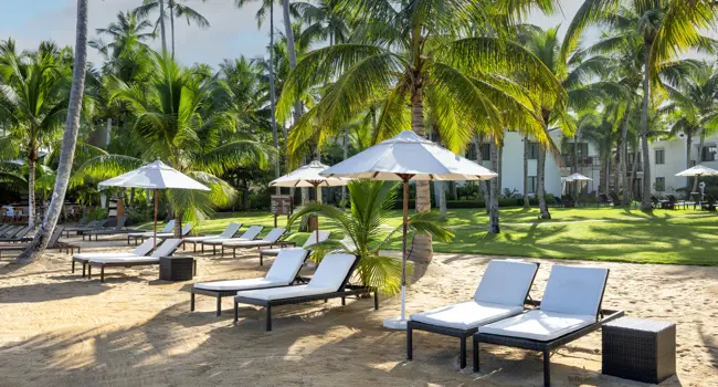 Sublime Samana
