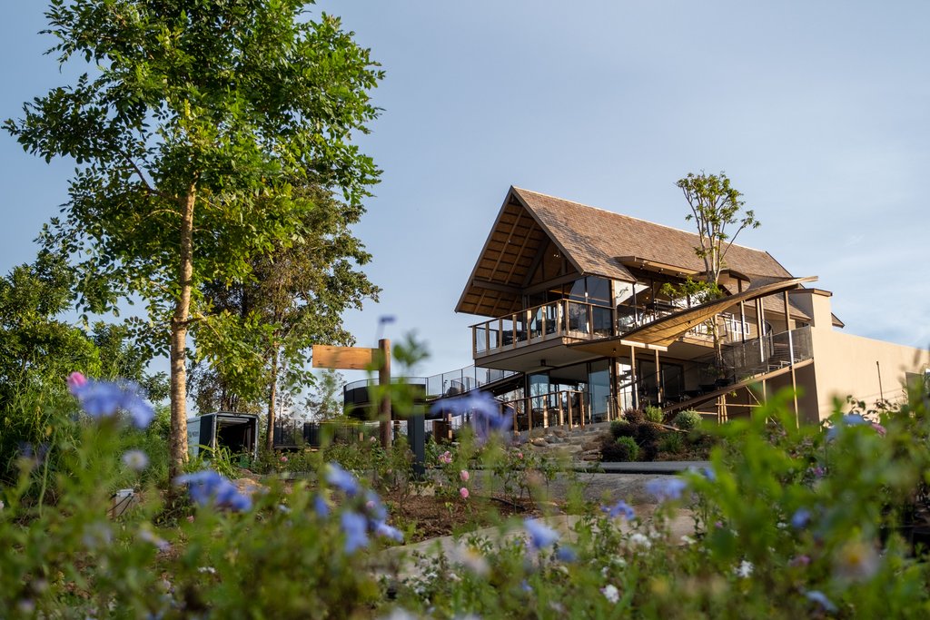 1 tree top tea house farmers cafe