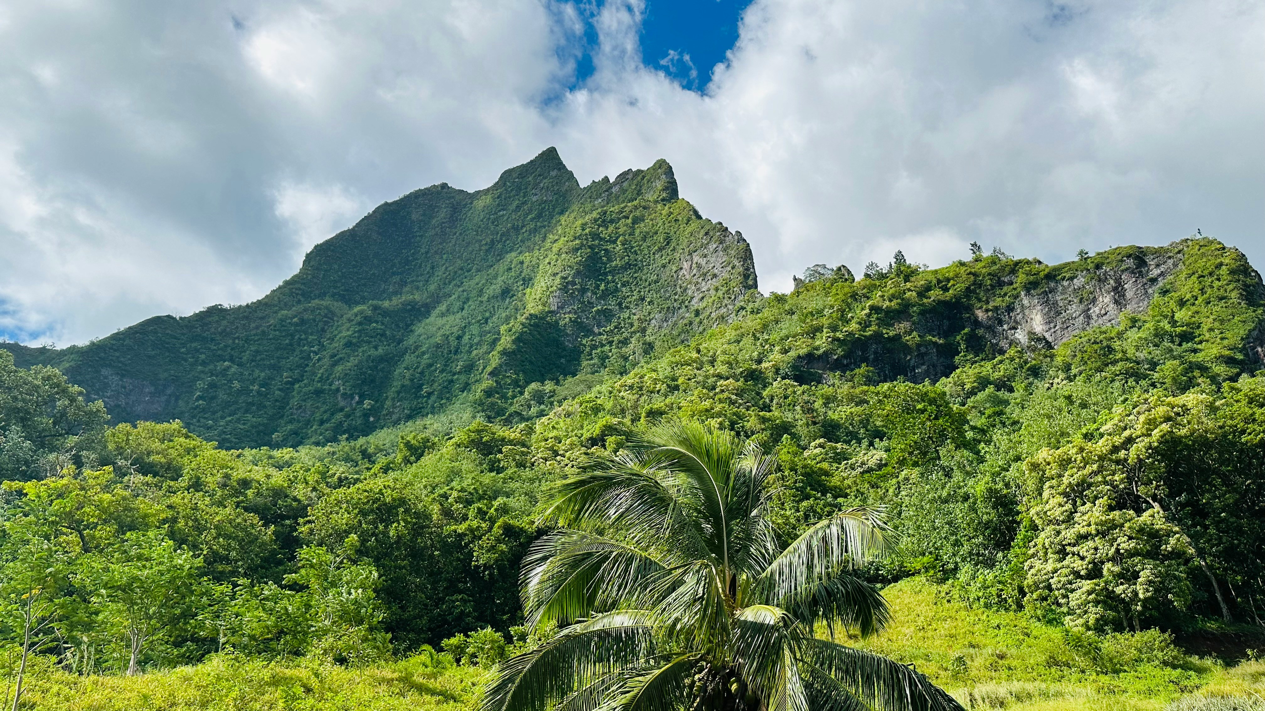 moorea green