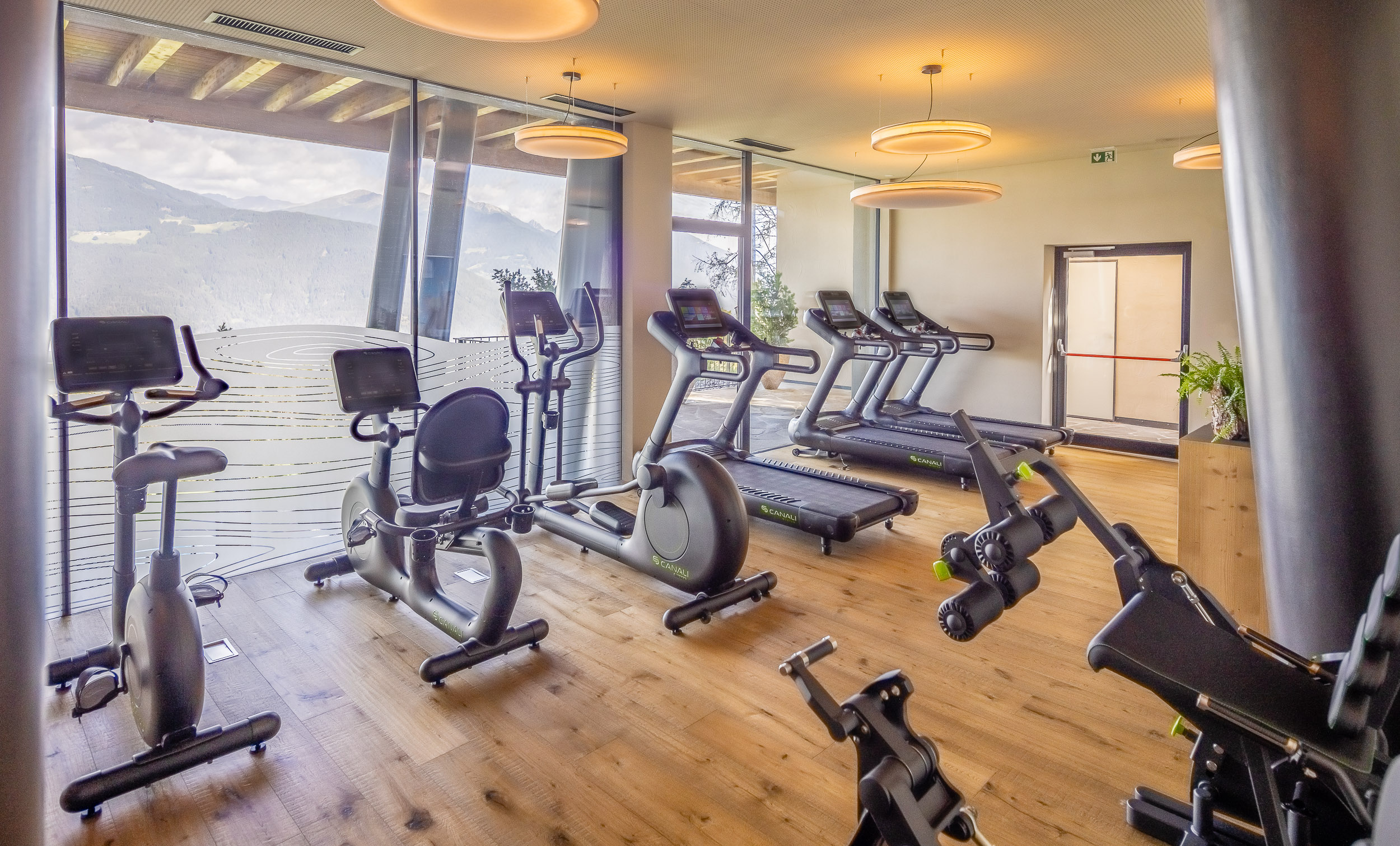 myarbor gym  bp 3