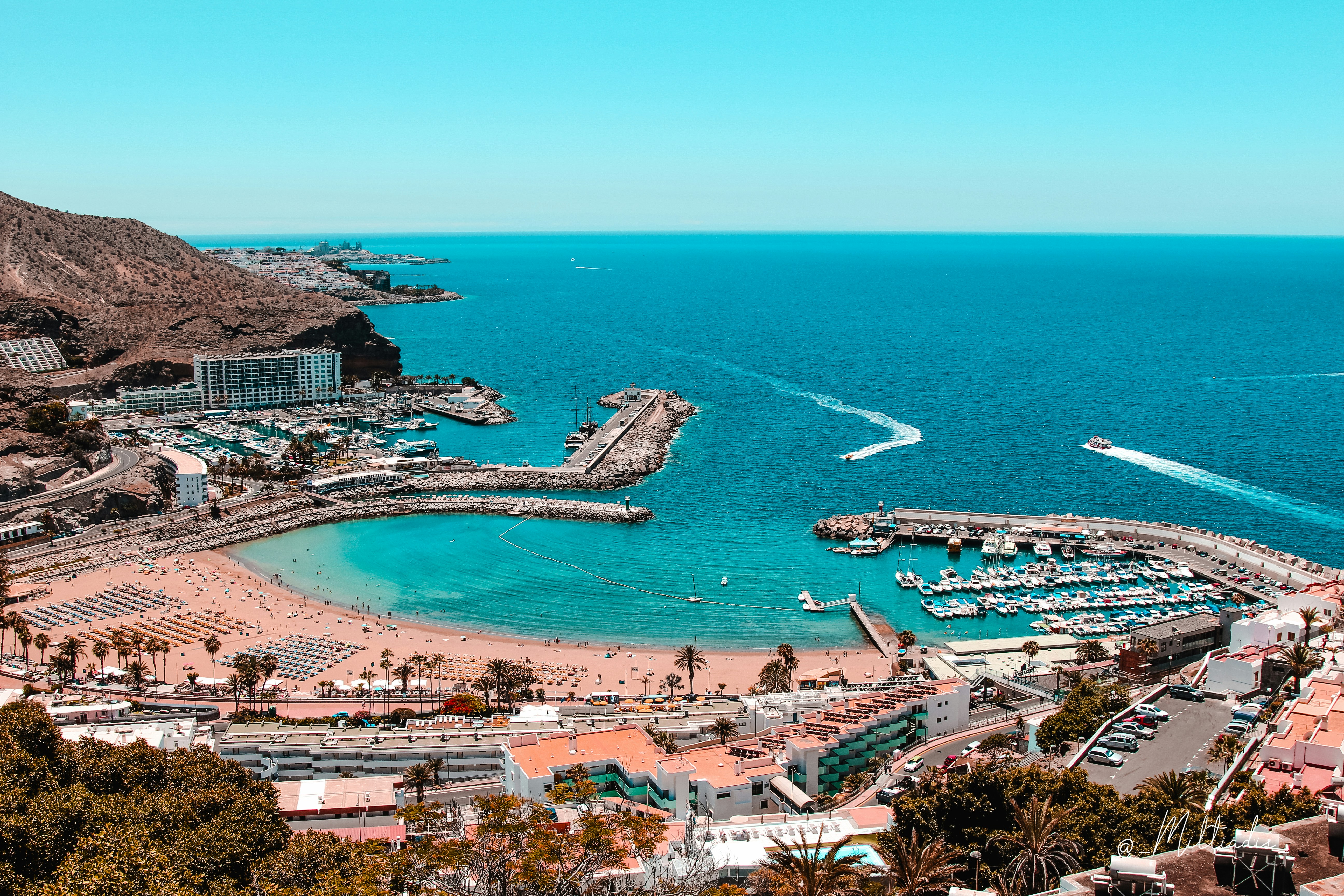 las palmas