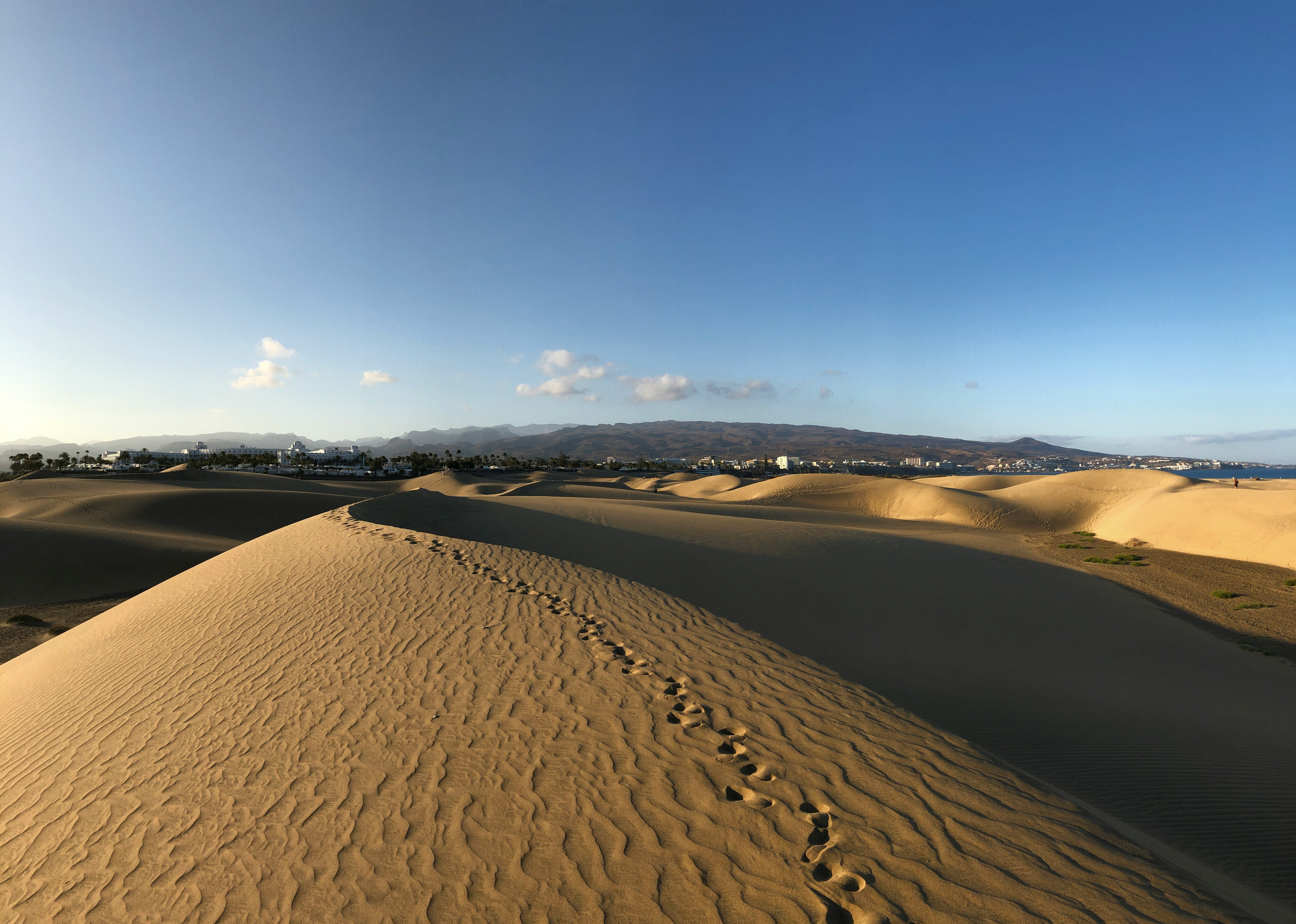 maspalomas duin
