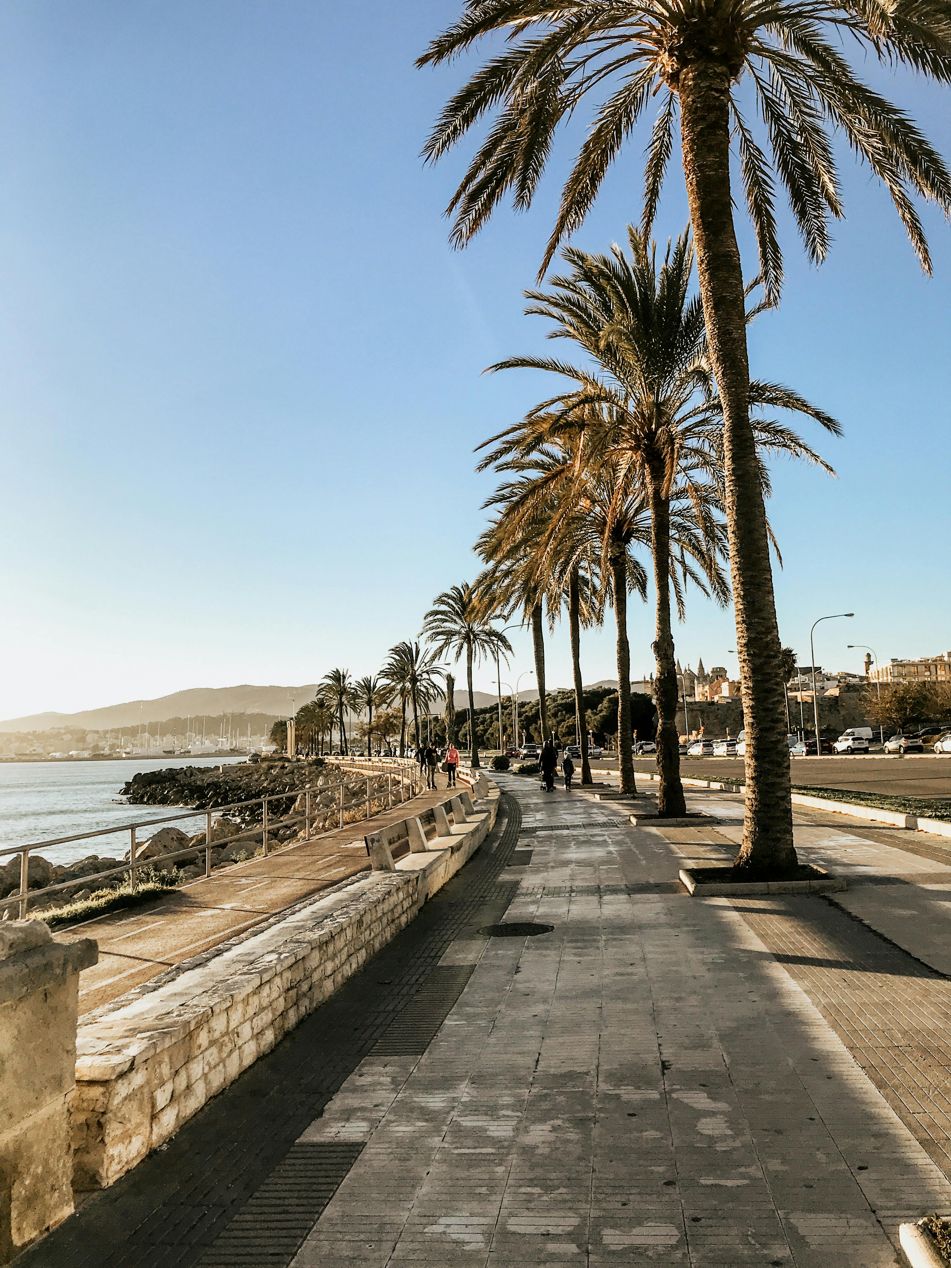 palma de mallorca baai