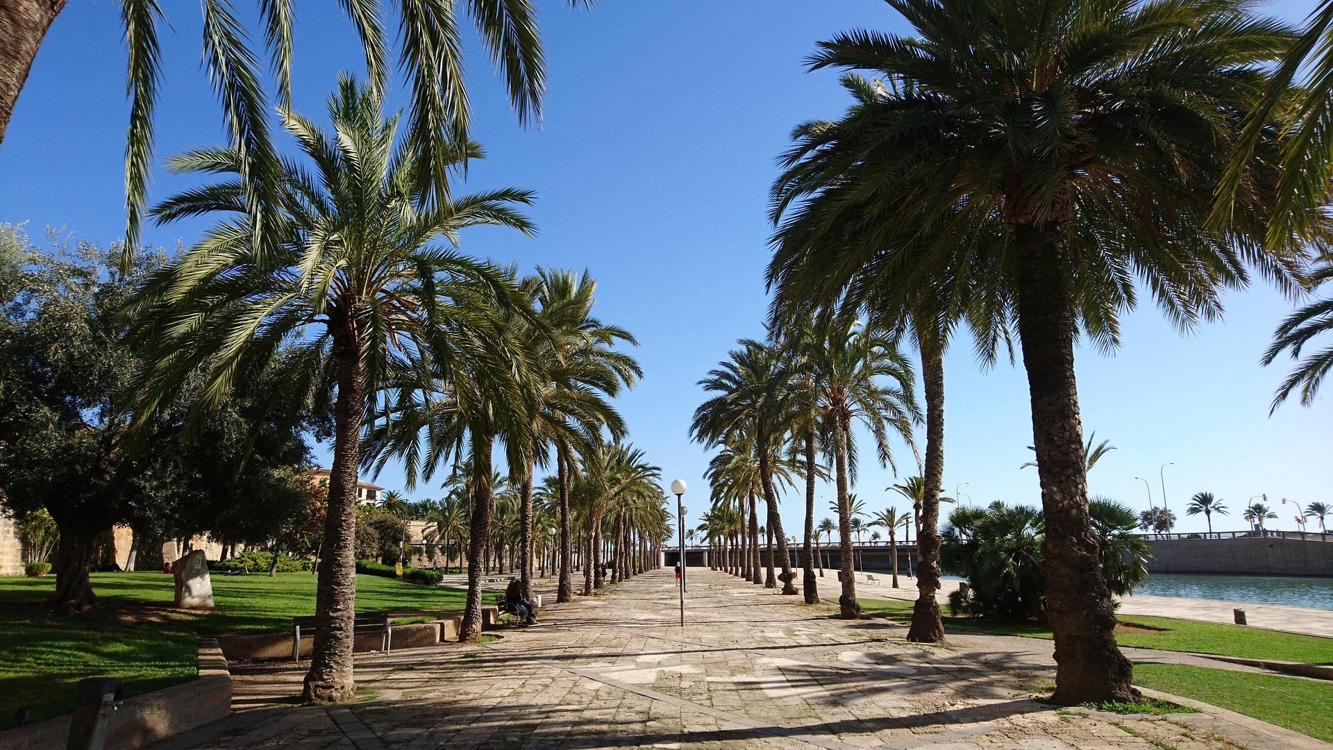 palma de mallorca baai