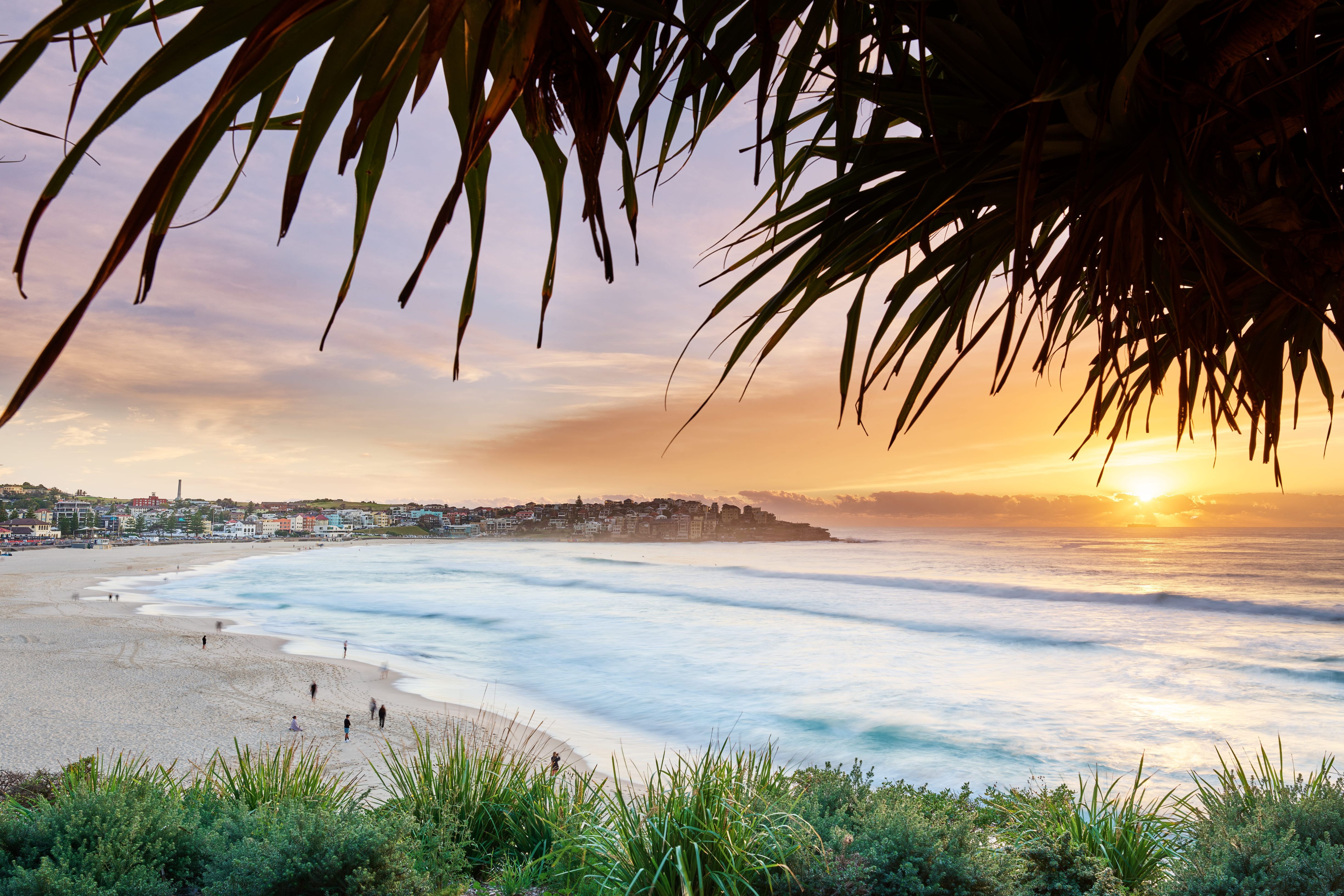 bondi beach bondi