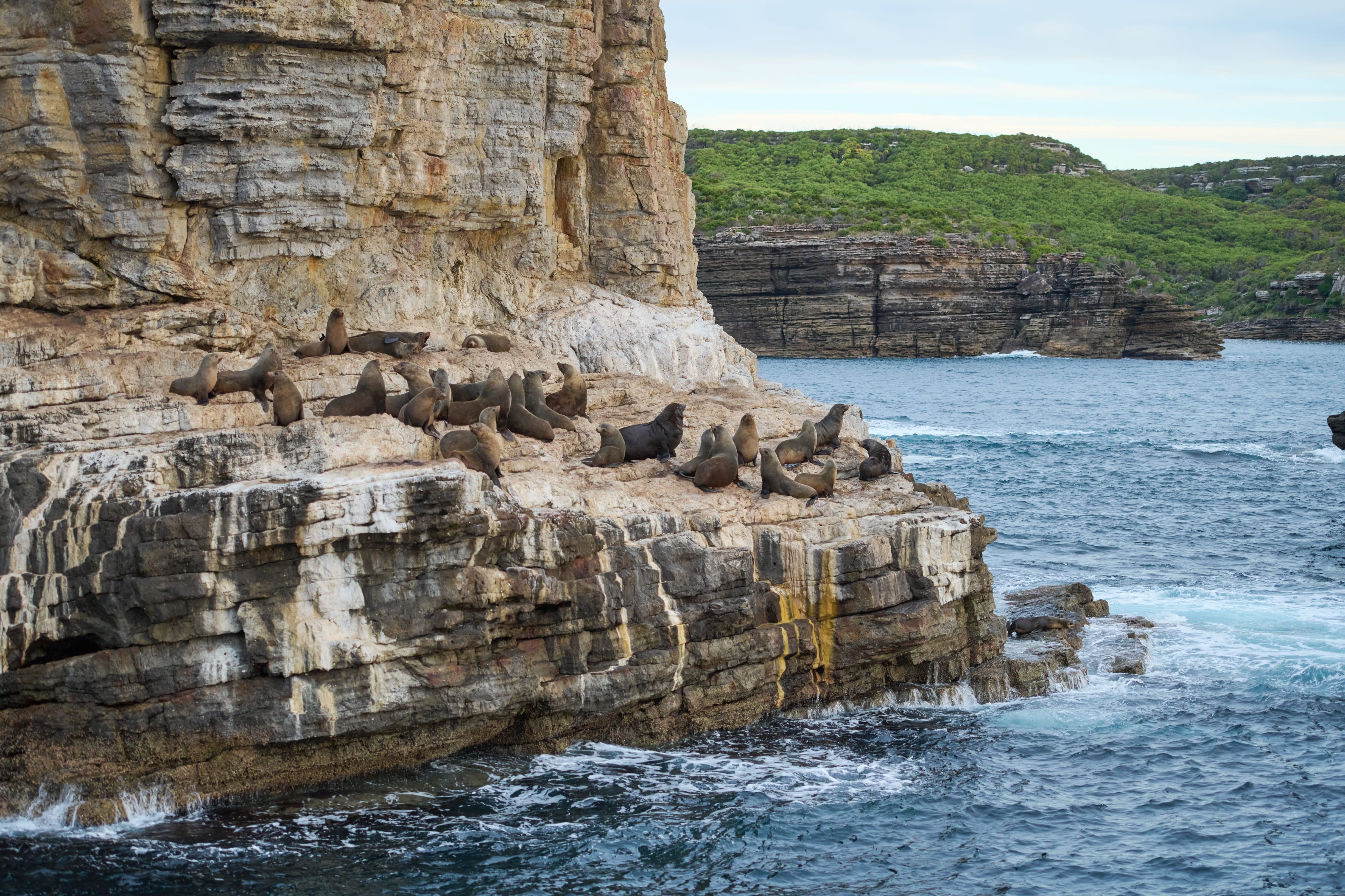 jervis bay shoalhaven