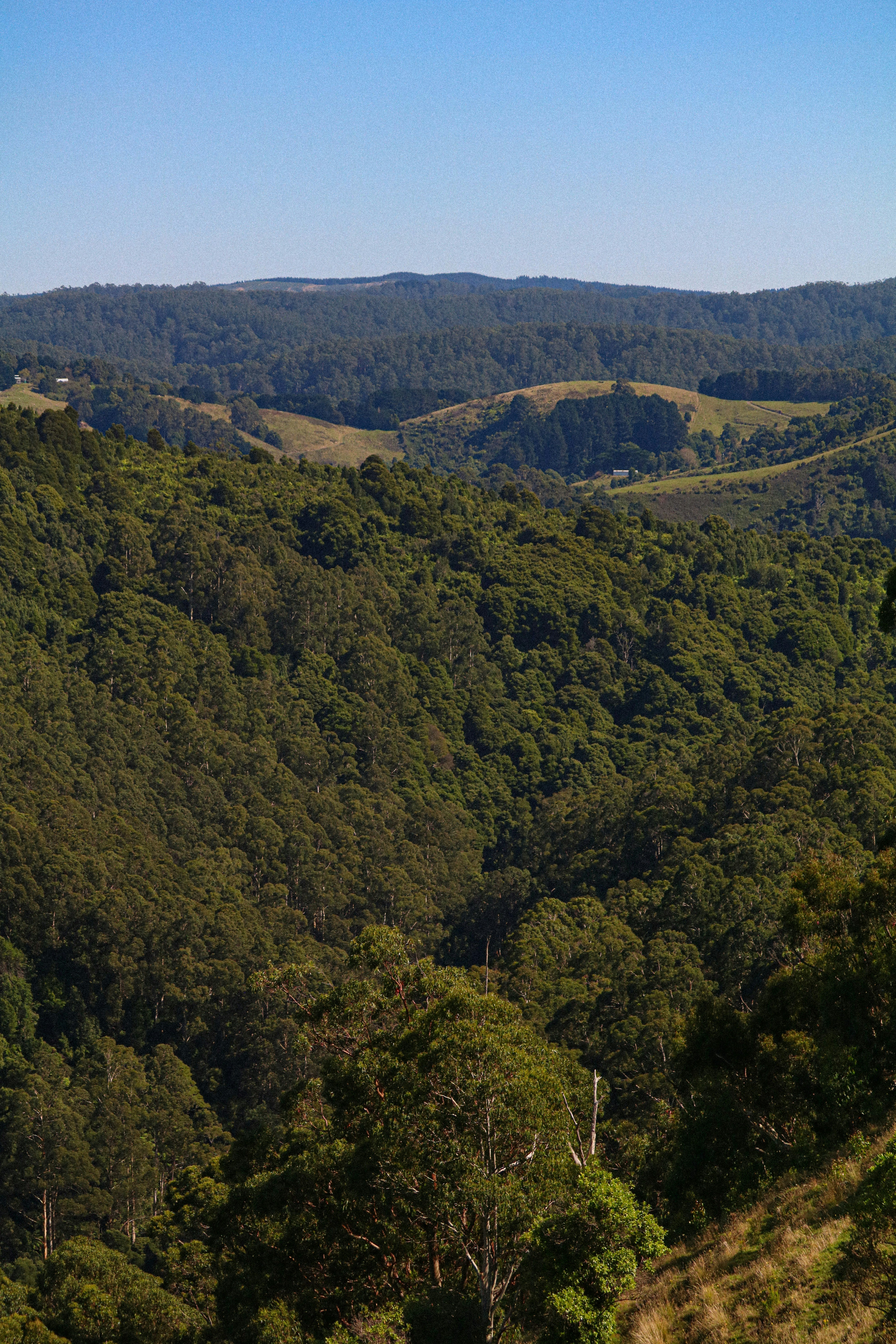 views over the great otway national park victoria