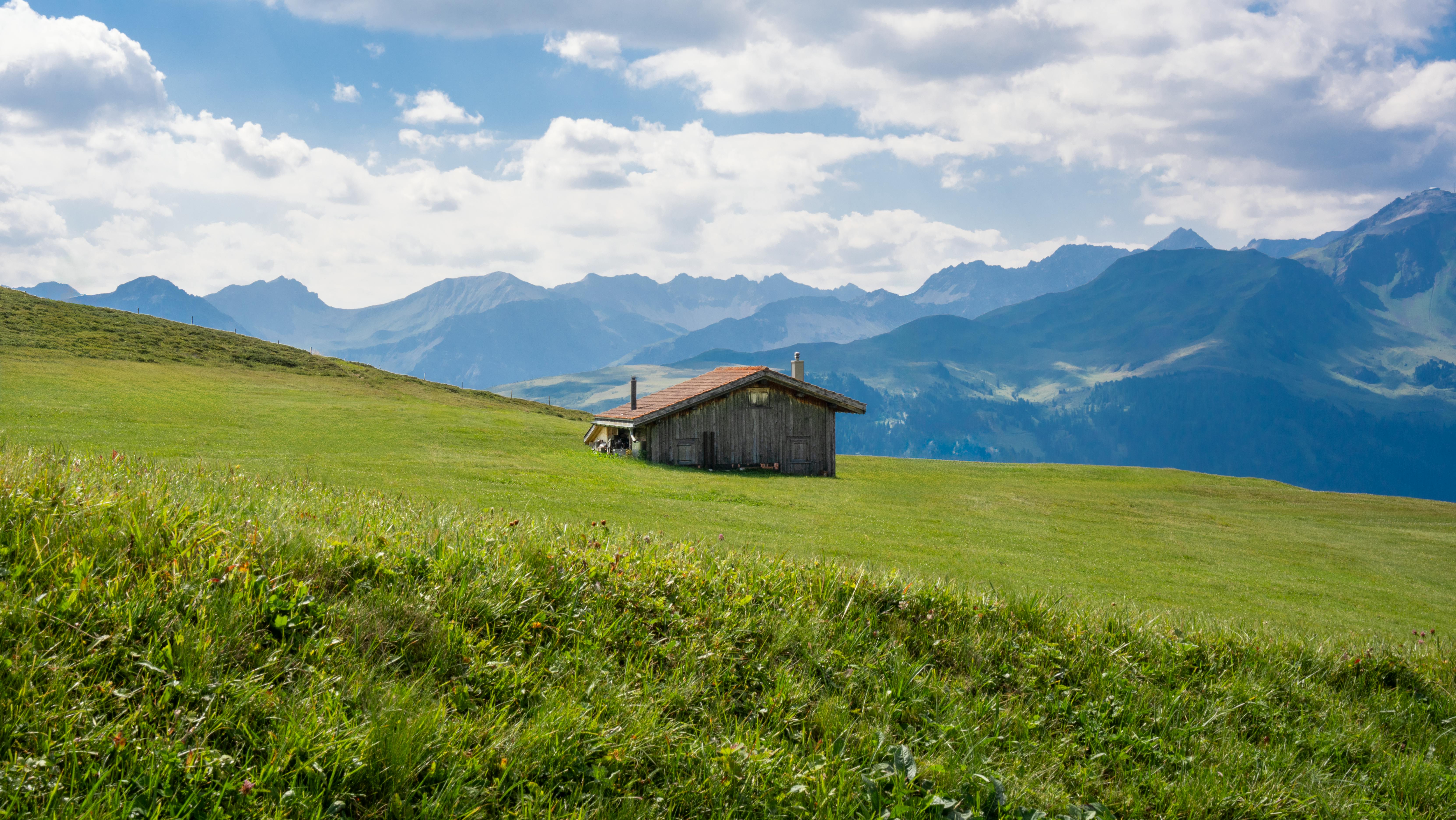 arosa card