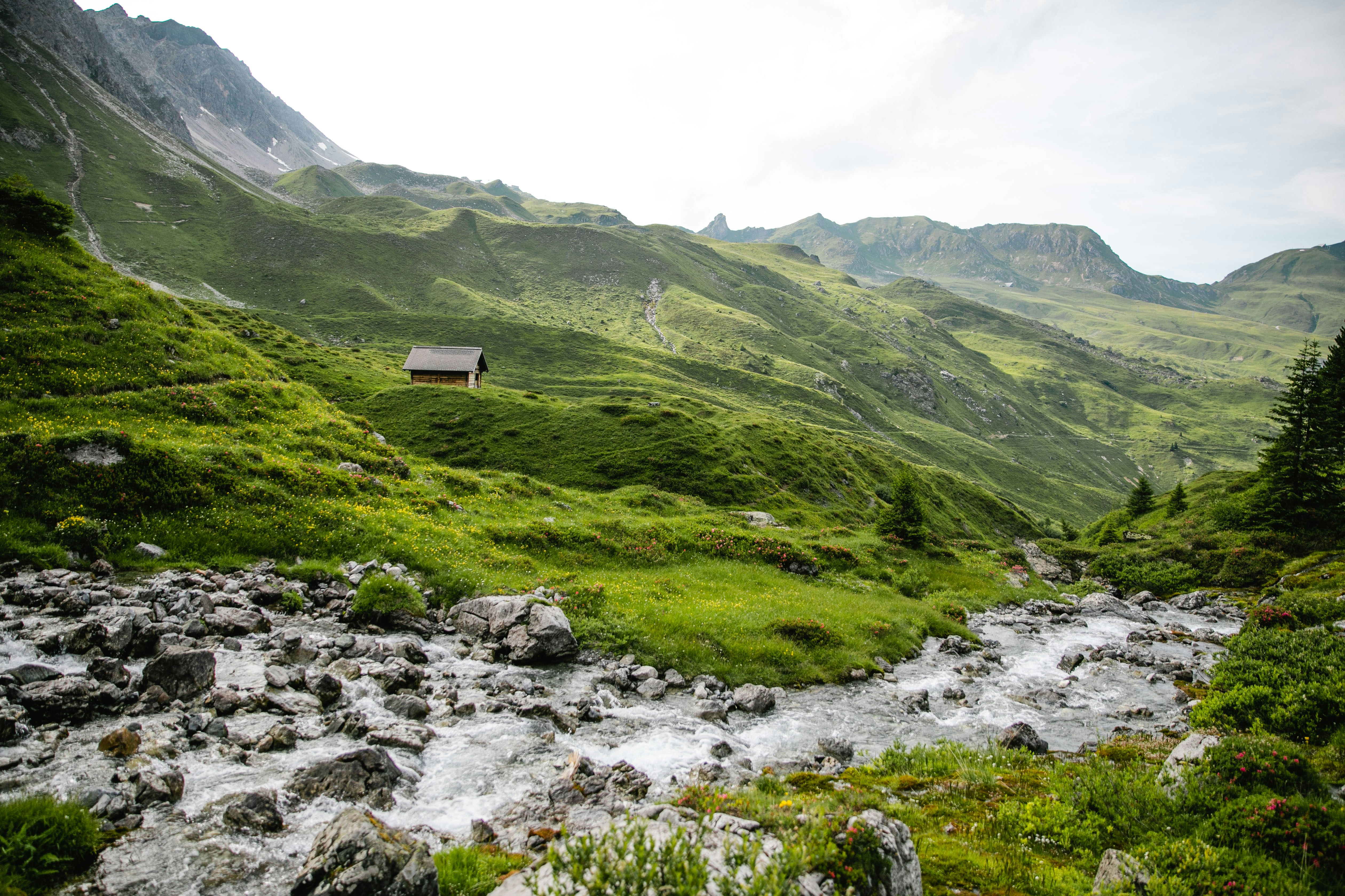 arosa