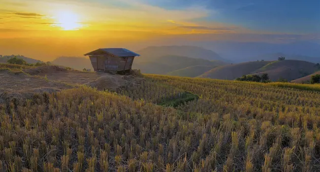 Rondreis Thailand: Bangkok, Chiang Rai, Chian Mai en Koh Yao Noi