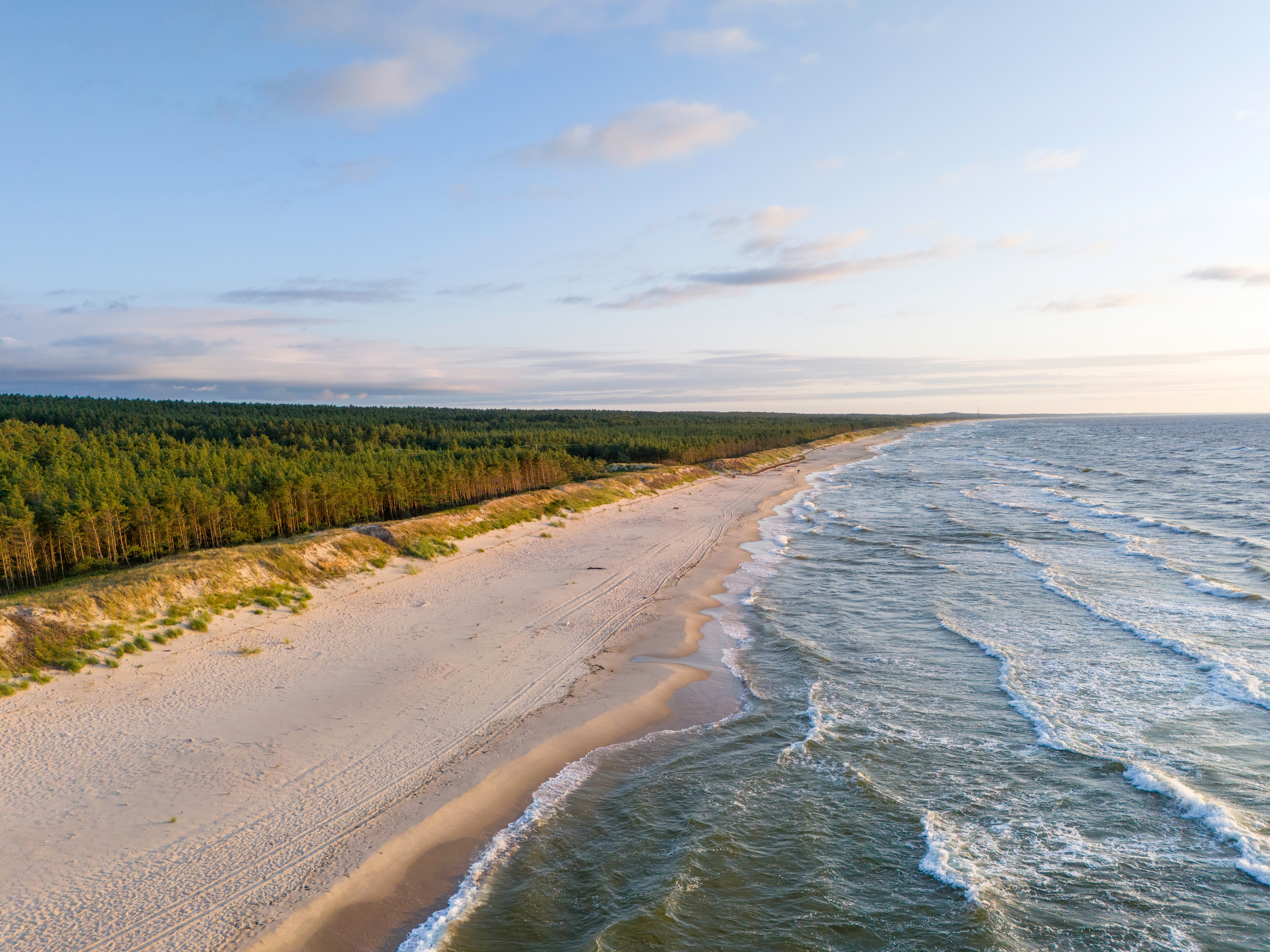 empty beach at the baltic sea grasses against a background of the setting sun waves and the sea