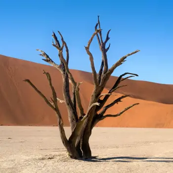 Namibië