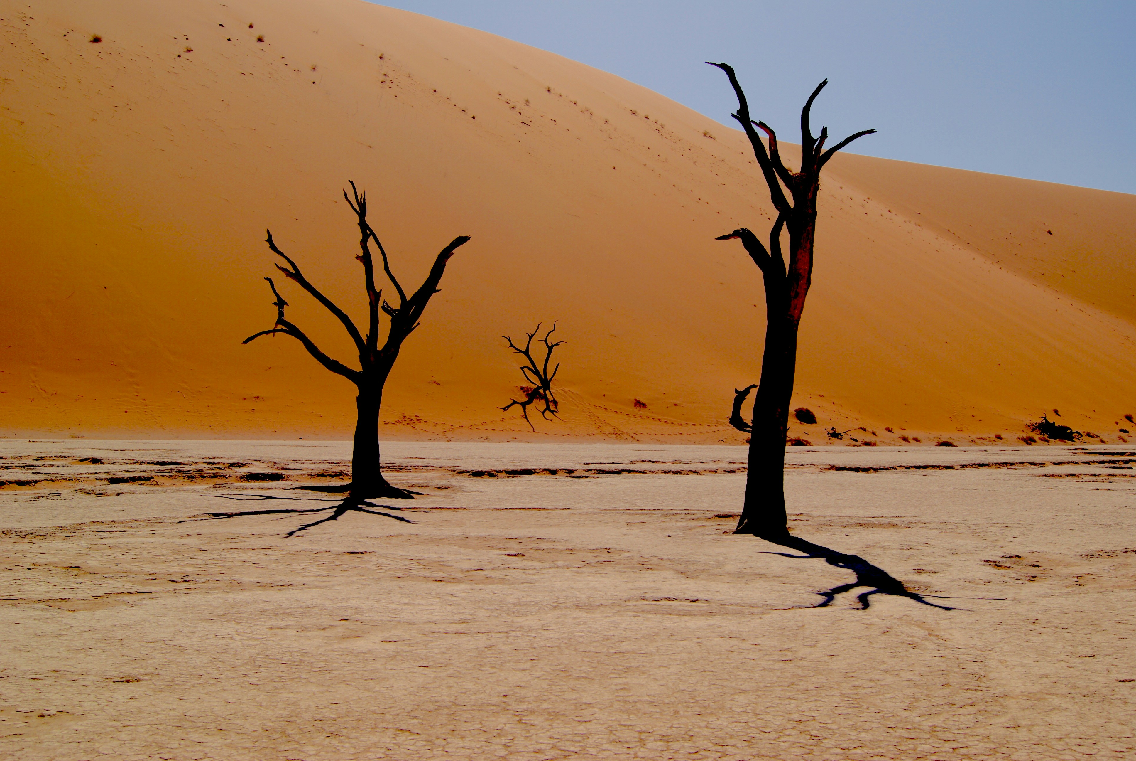 deadvlei sossusvlei namibie