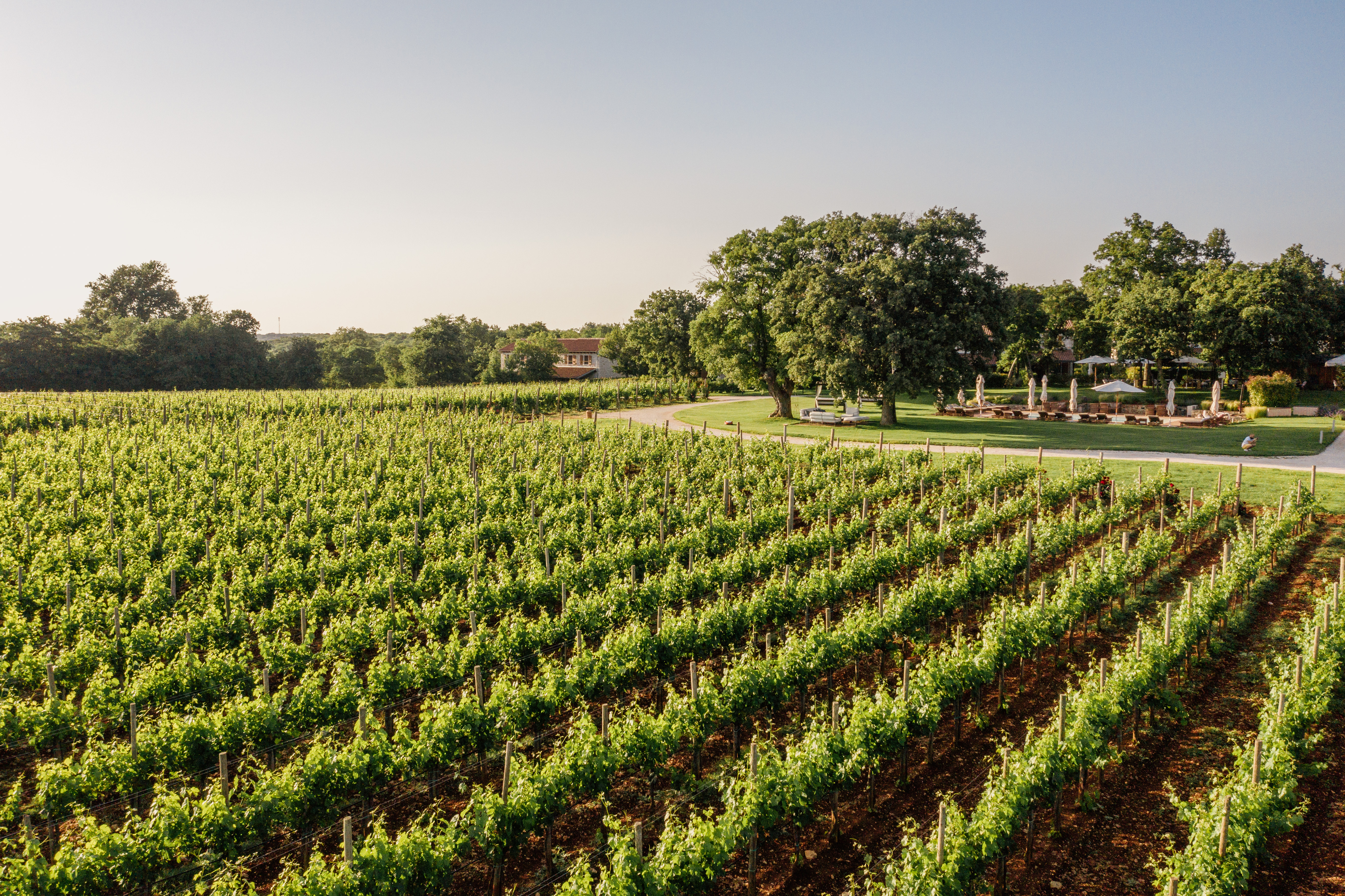 143 meneghetti dron photo by matej paluh