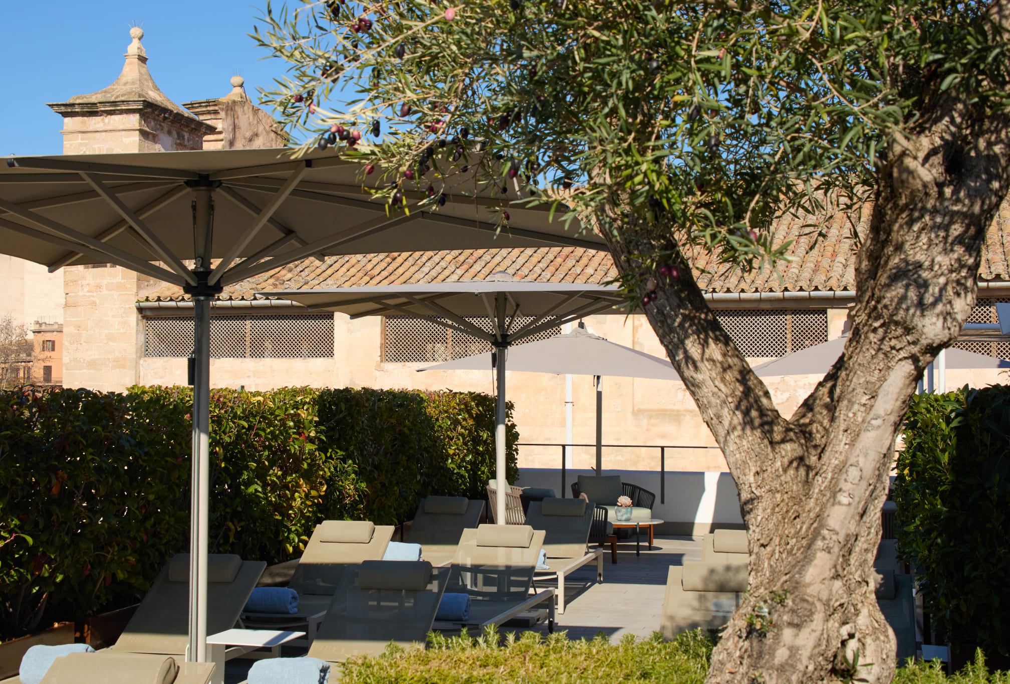 home rooftop terrace sant jaume hotels it mallorca desktop