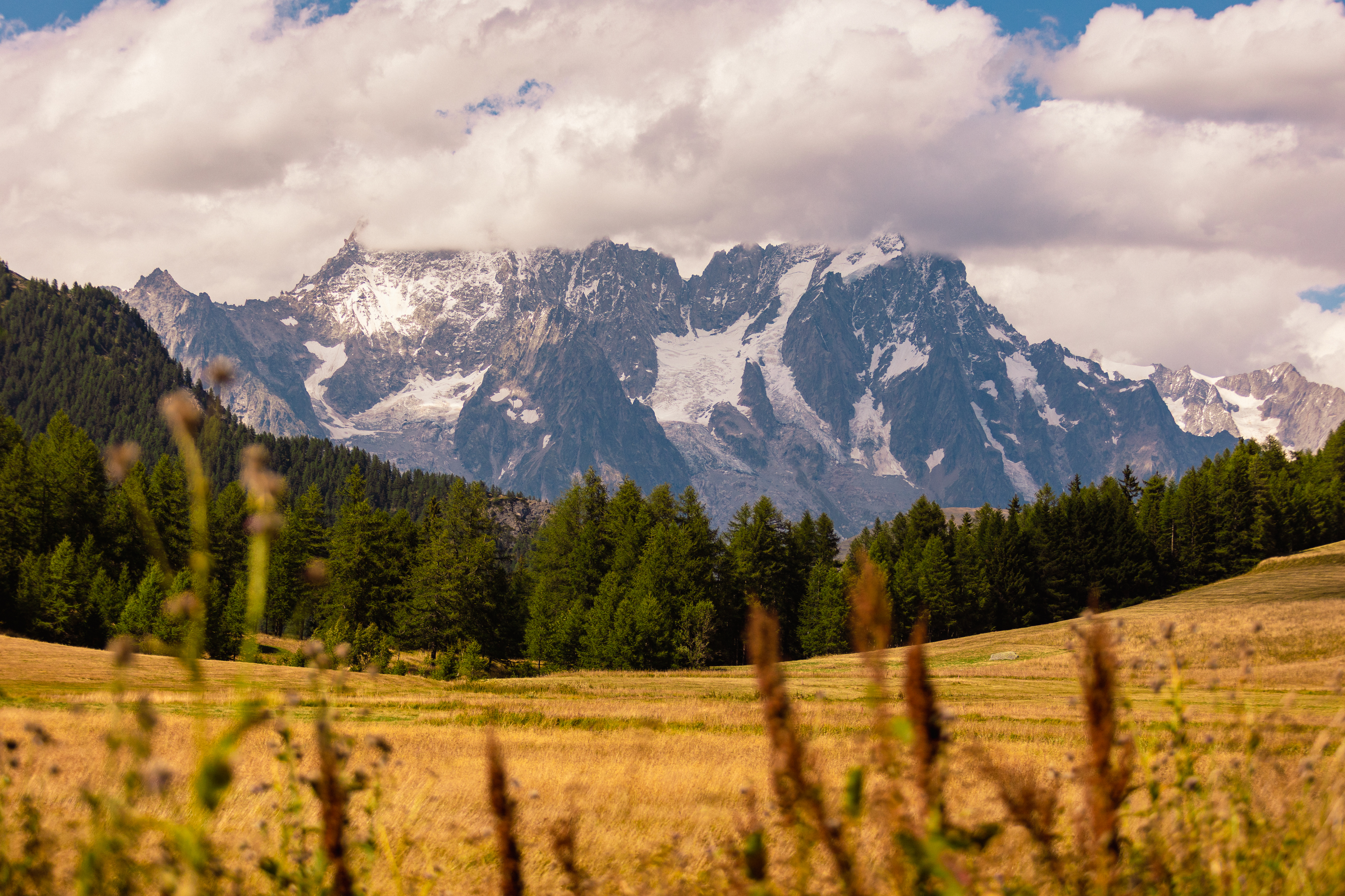 ds montana lodge shooting ago25 65