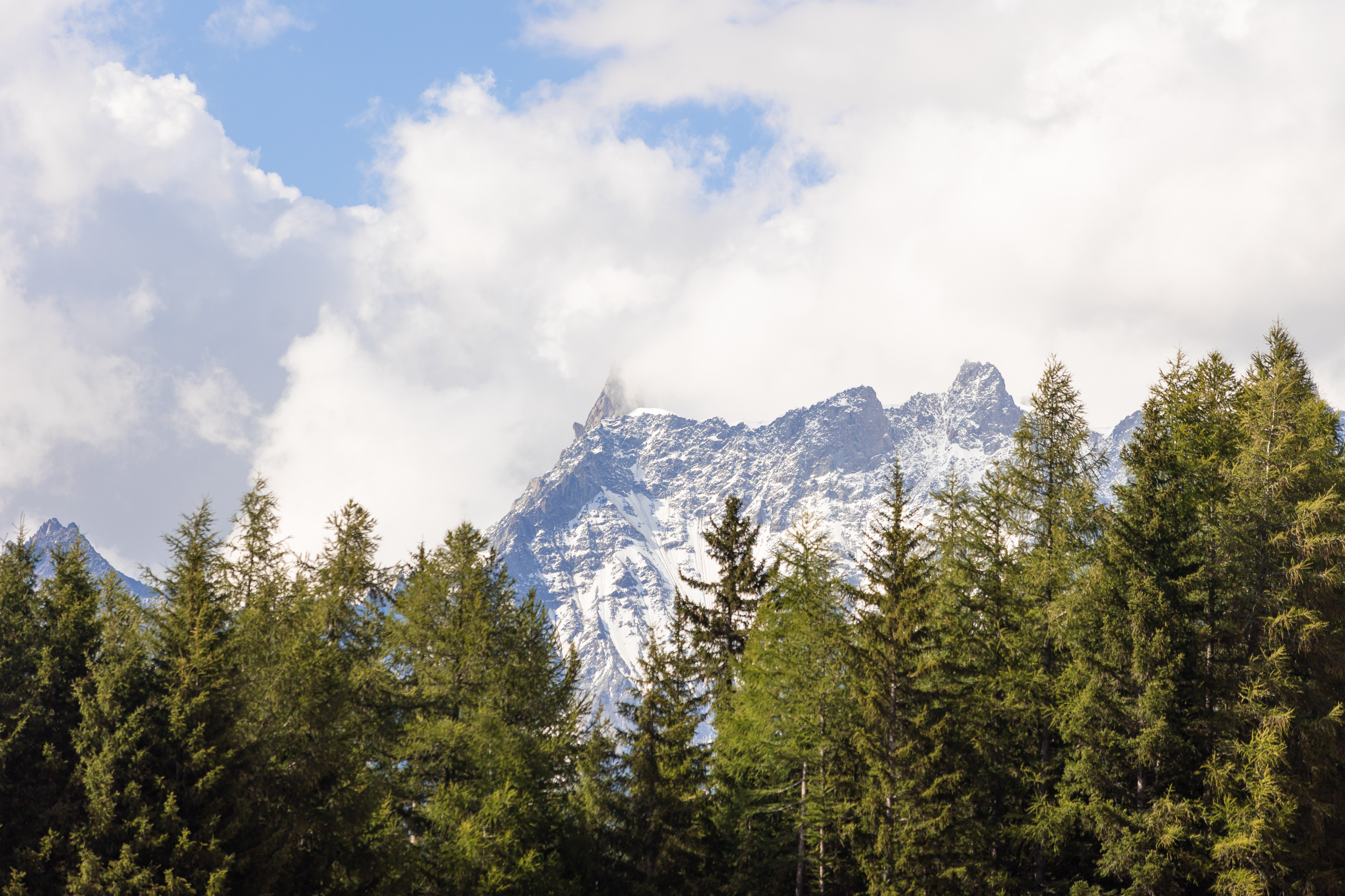 ds montana lodge shooting ago25 5