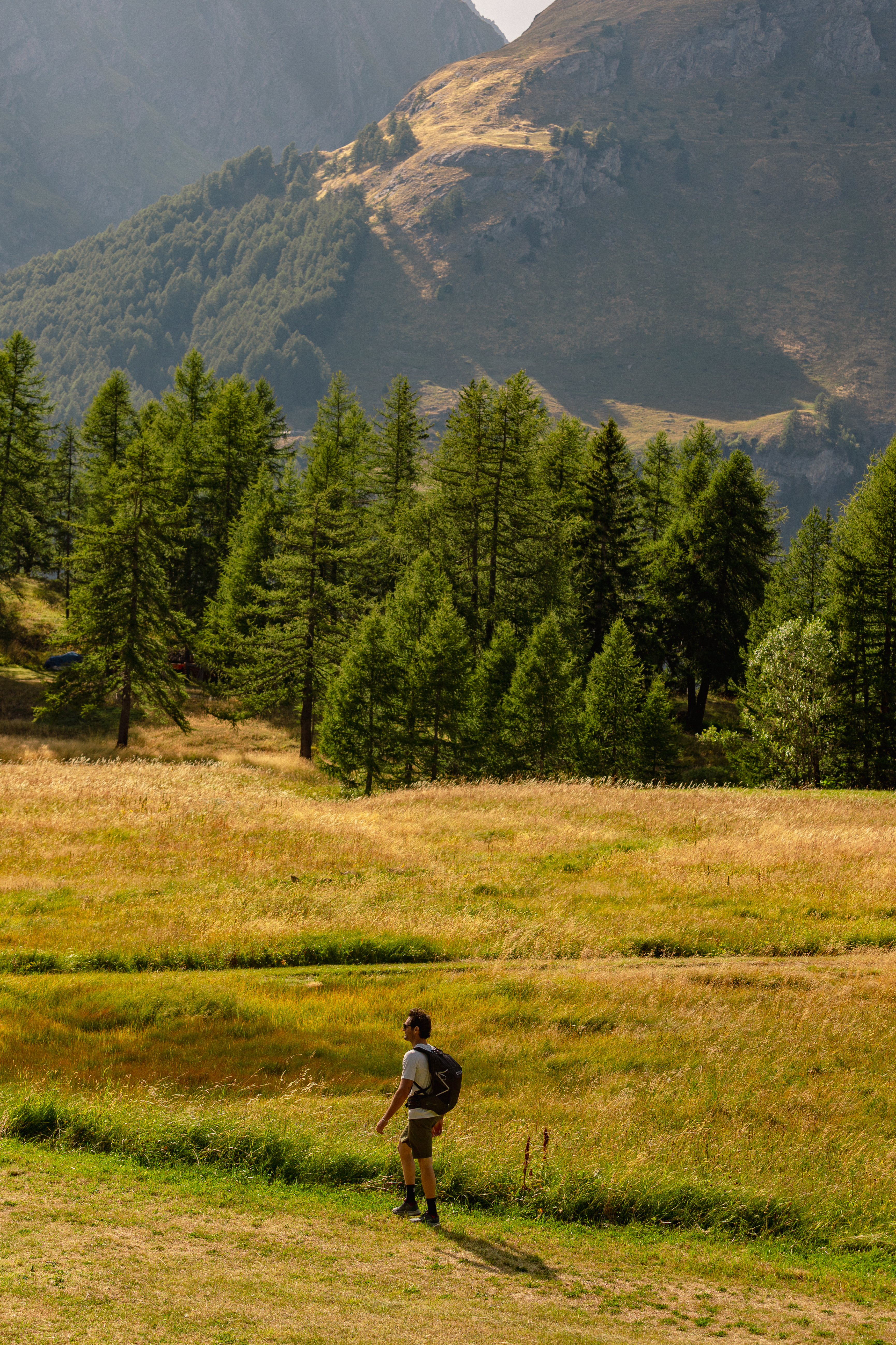 ds montana lodge shooting ago25 73