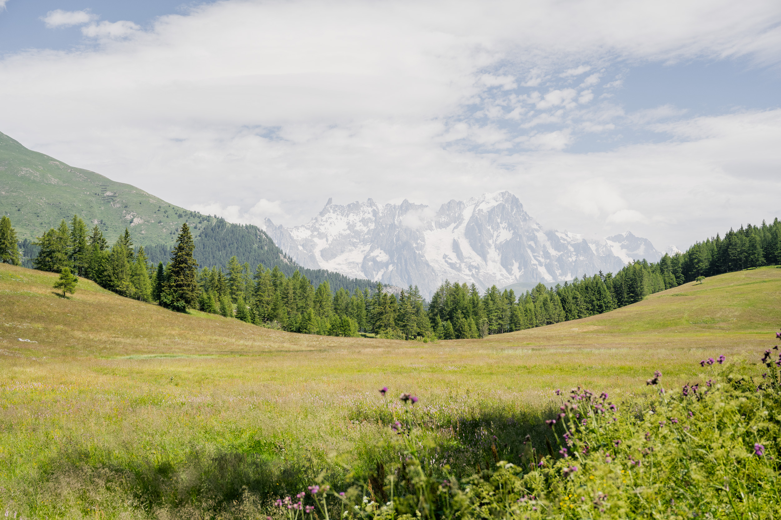 montanalodge dropshot web by andreaangiuoni 017
