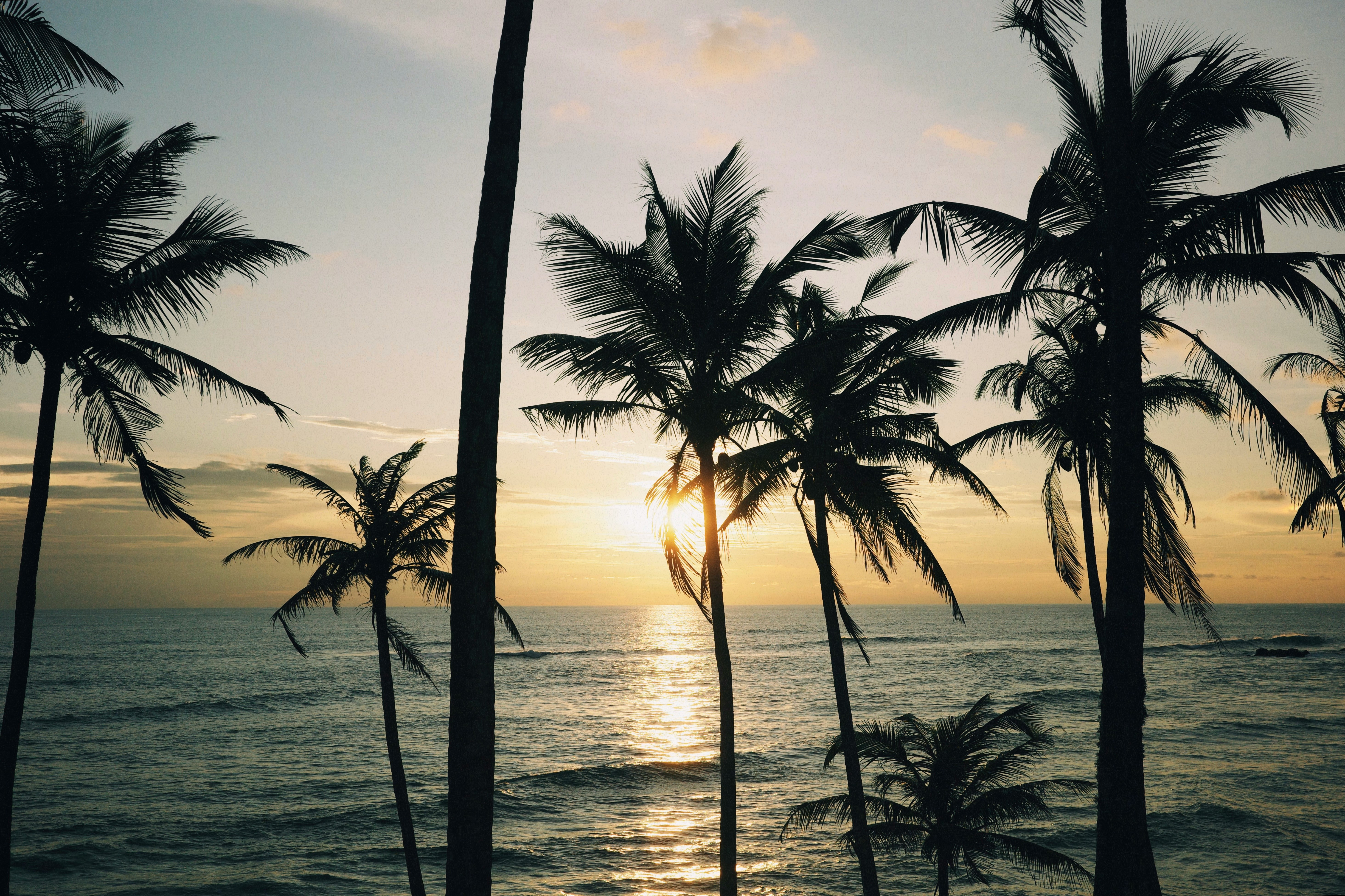 Sri Lanka voor ontdekkers