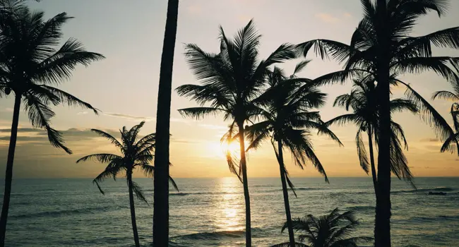 Sri Lanka voor ontdekkers