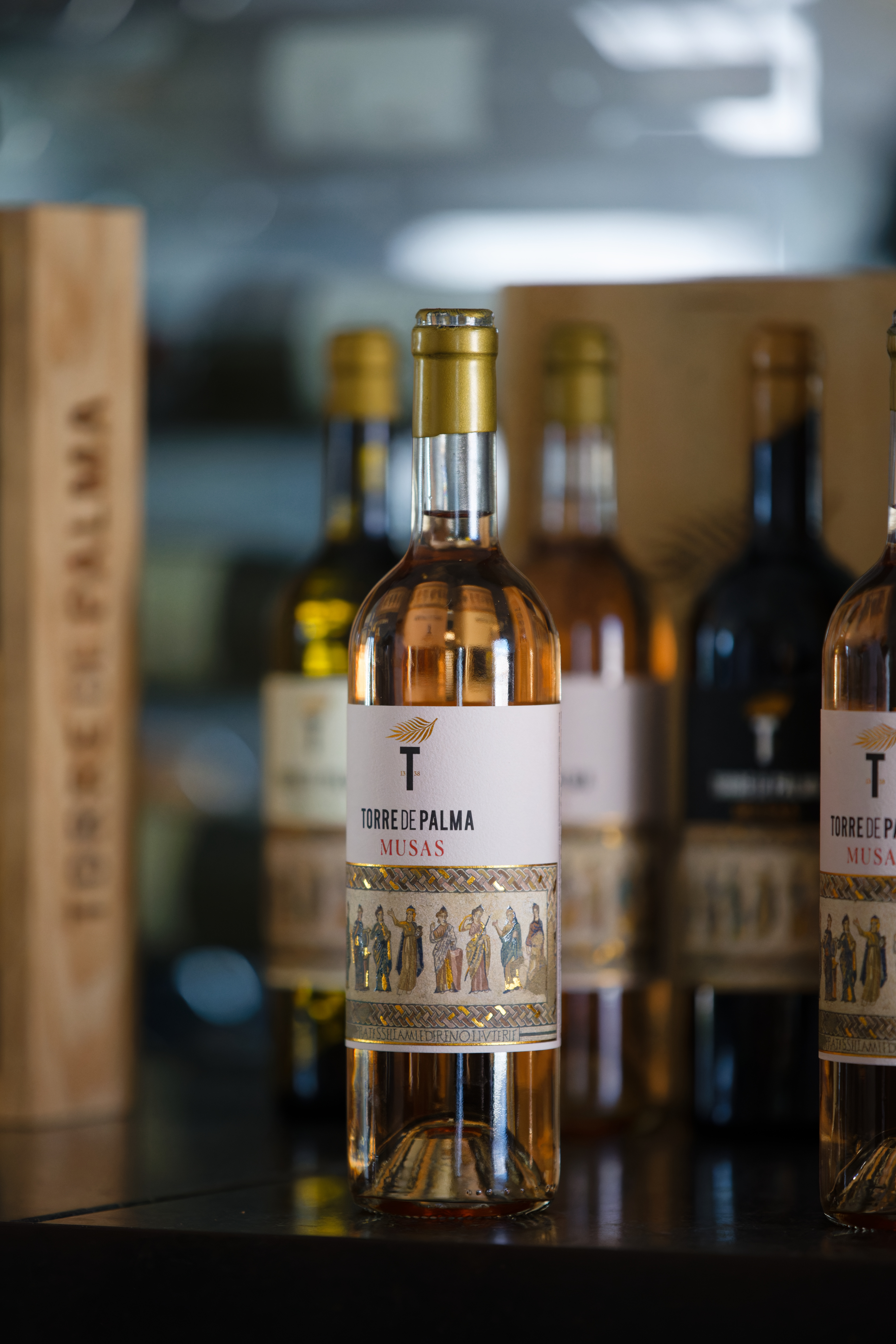 torre de palma alentejo 14