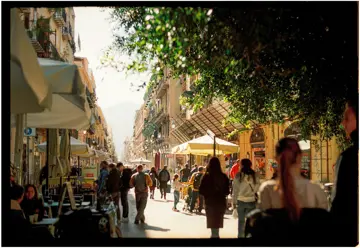 palermo 7