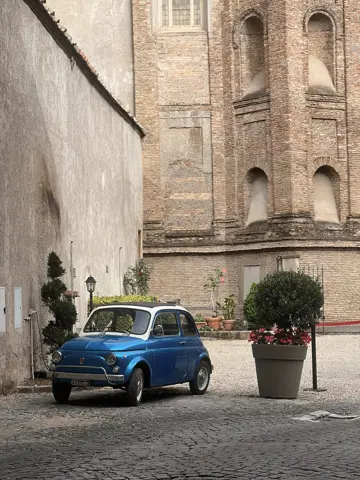 palermo 6
