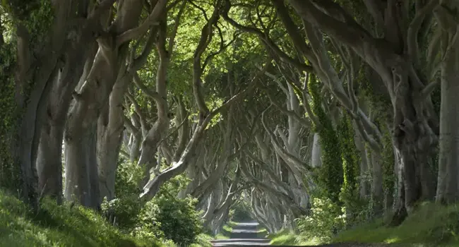 Rondreis Noord-Ierland & Ierland: van Belfast tot de Slieve League