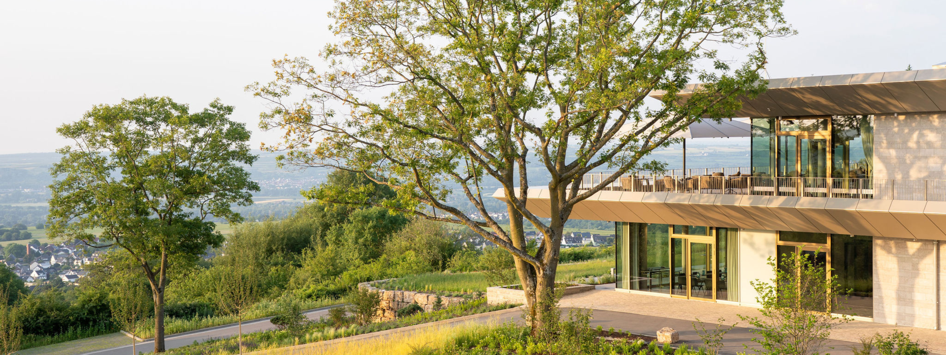 wald weit kieldrich duitsland