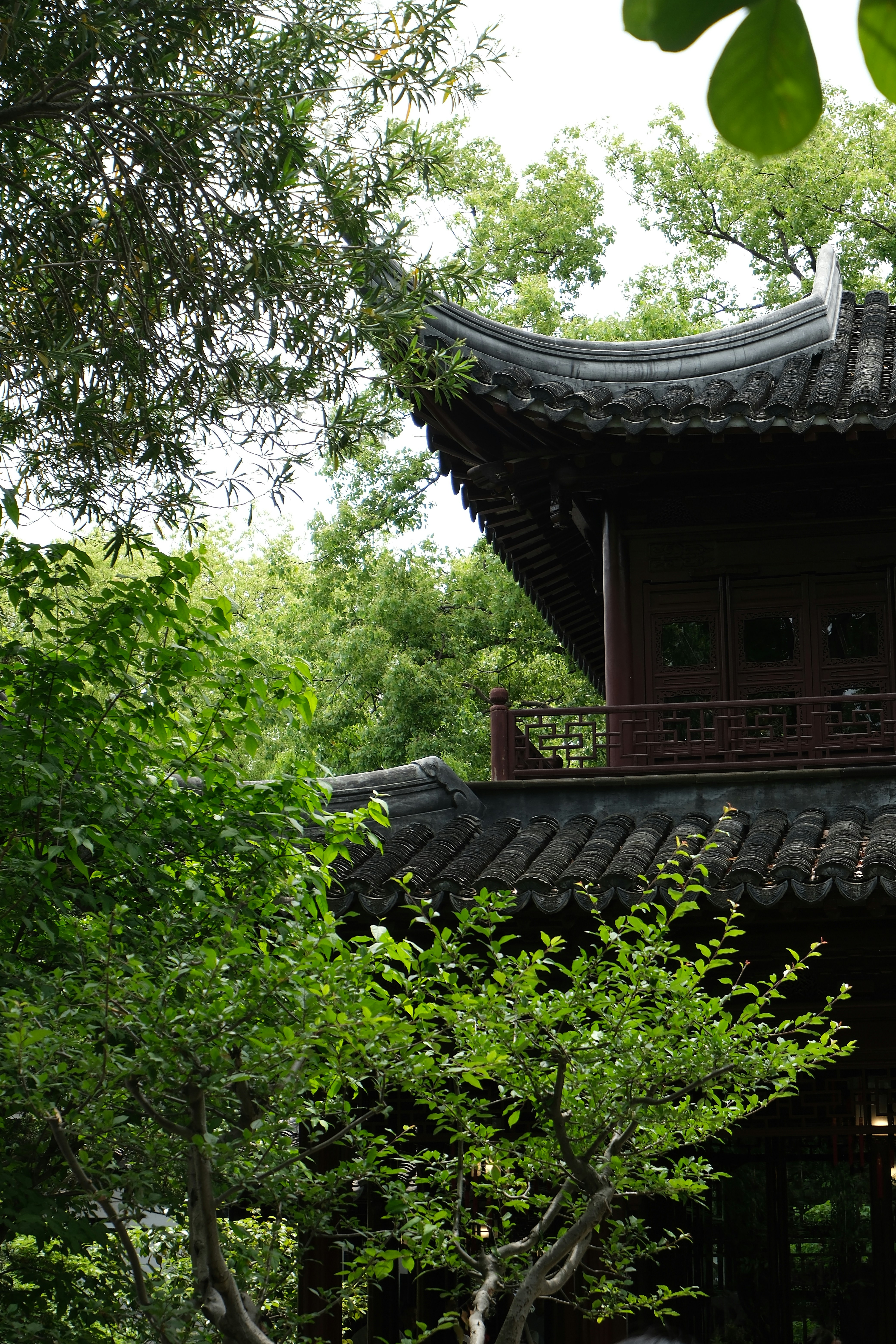 yu garden shanghai
