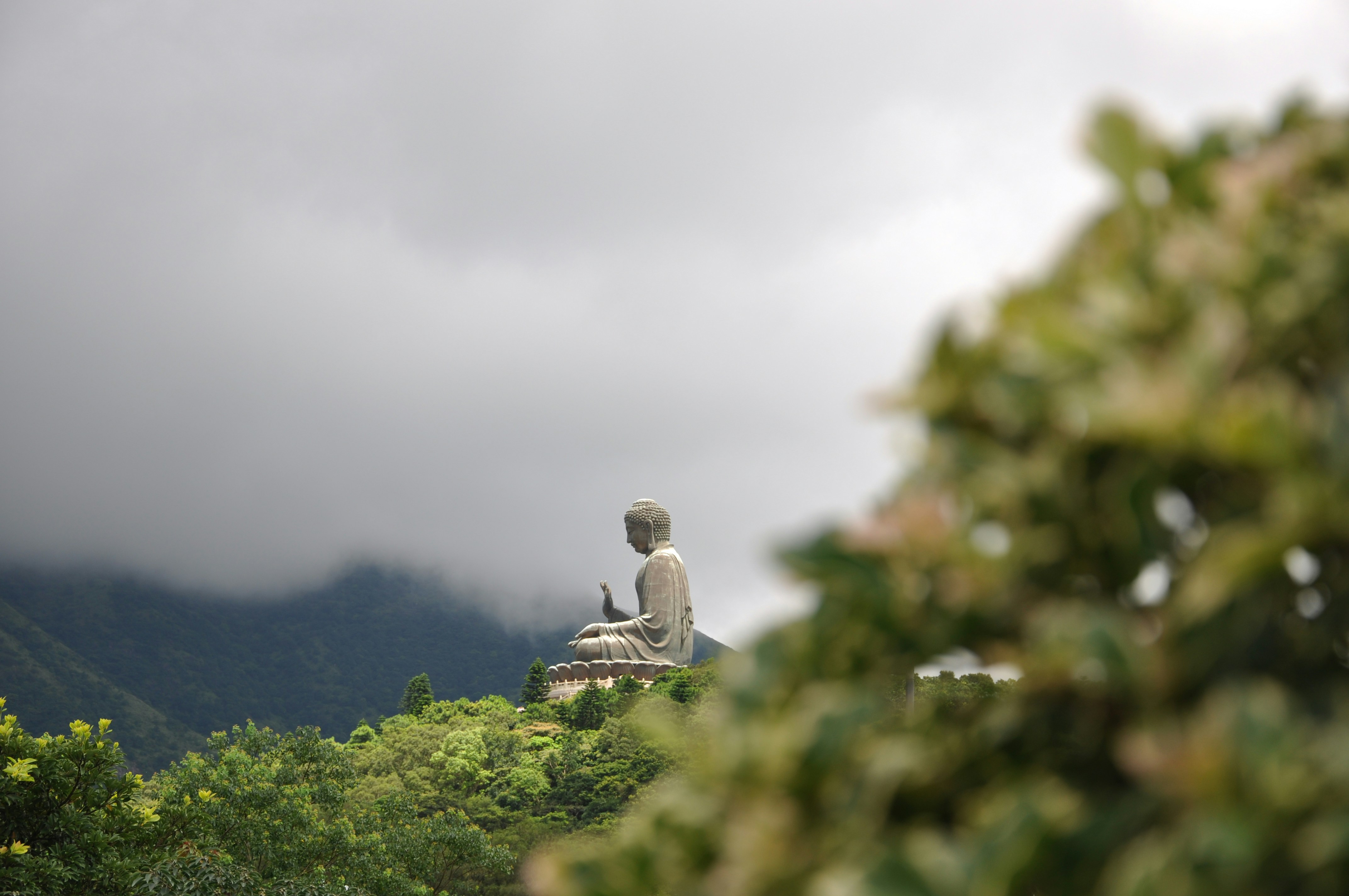 tian tian buddha hong kong