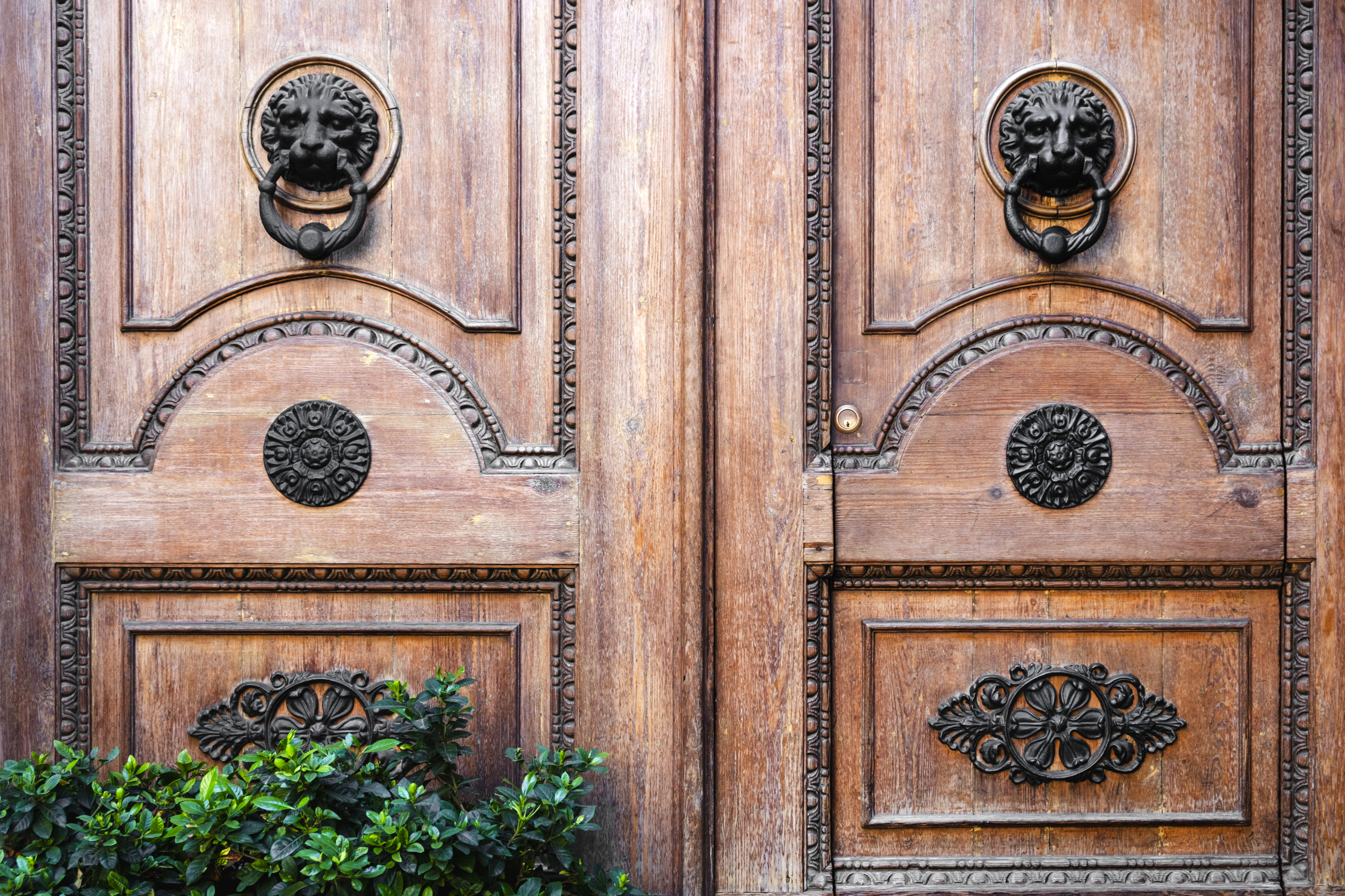 btfj6748  benedetto tarantino