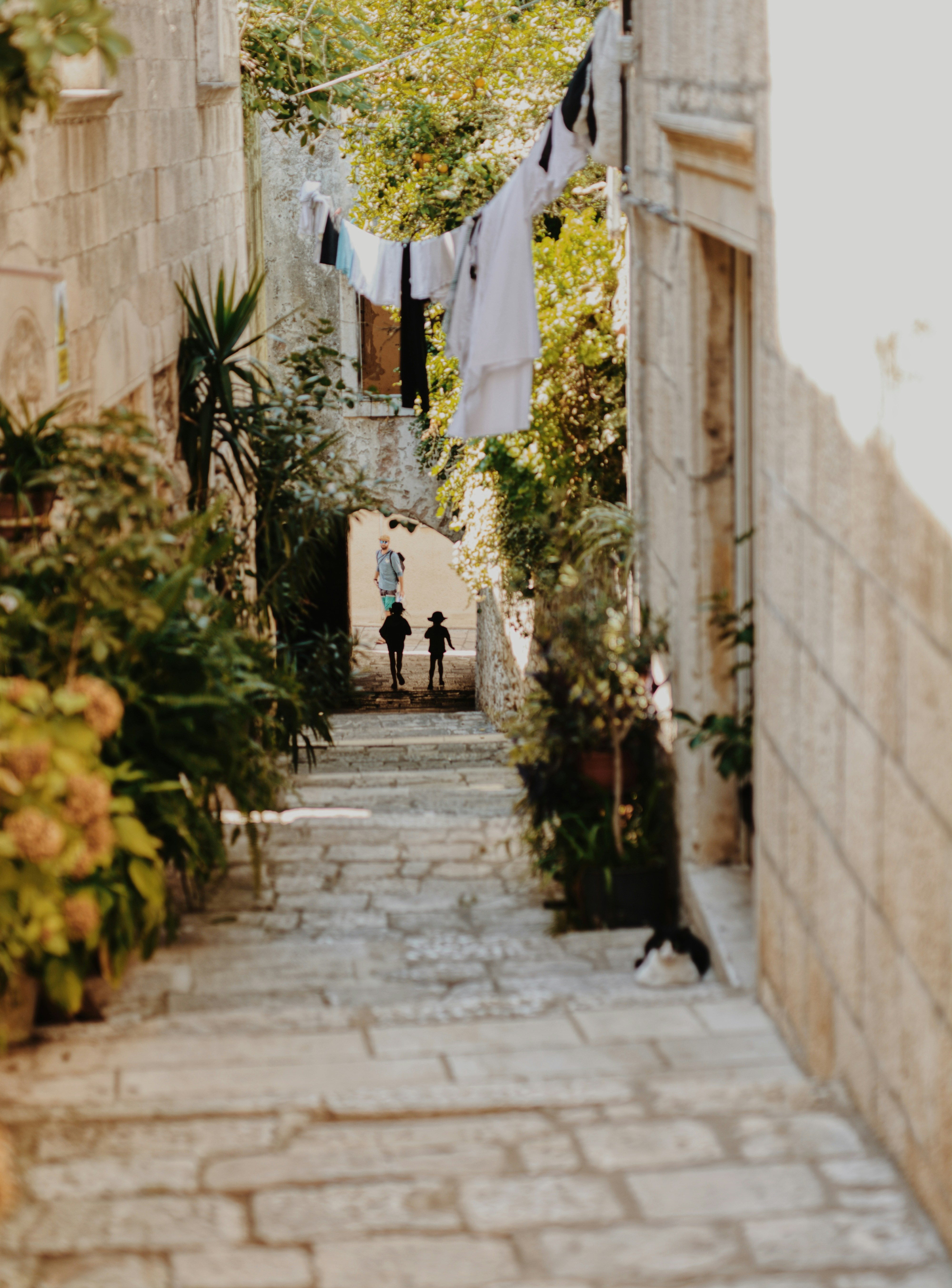 korcula street