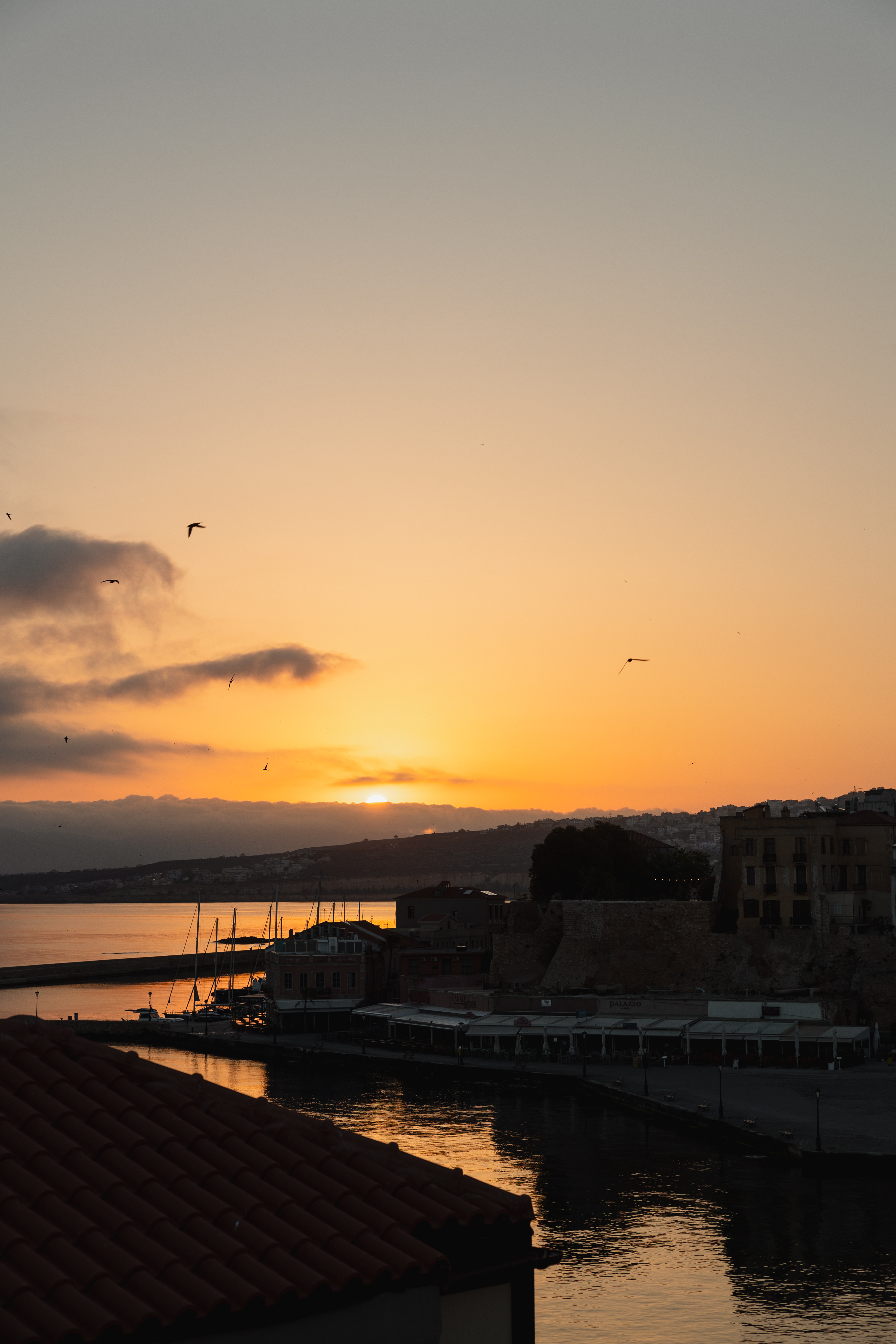 casa delfino megwhitephotography 50