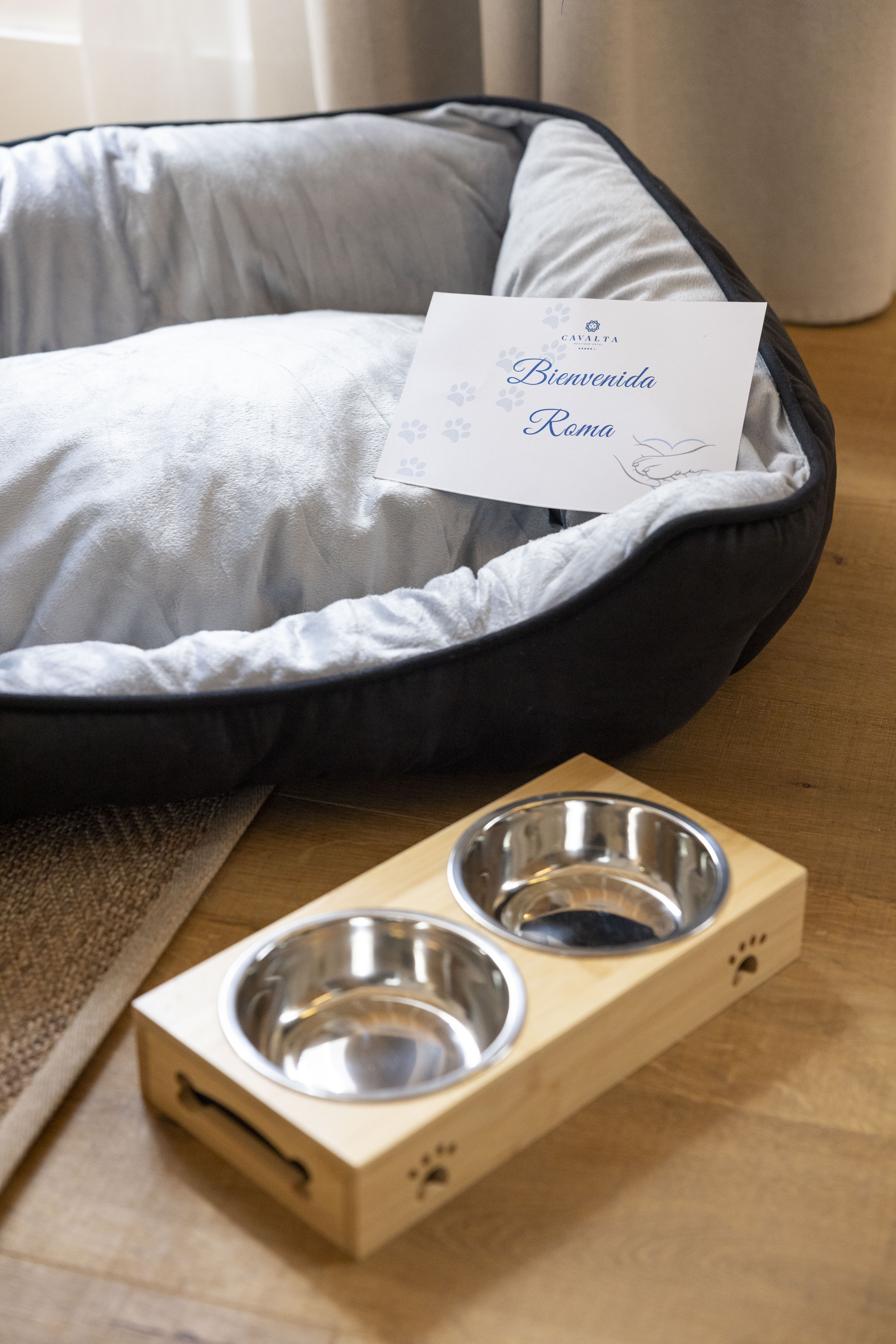 cavalta 20 mayo 2025 612